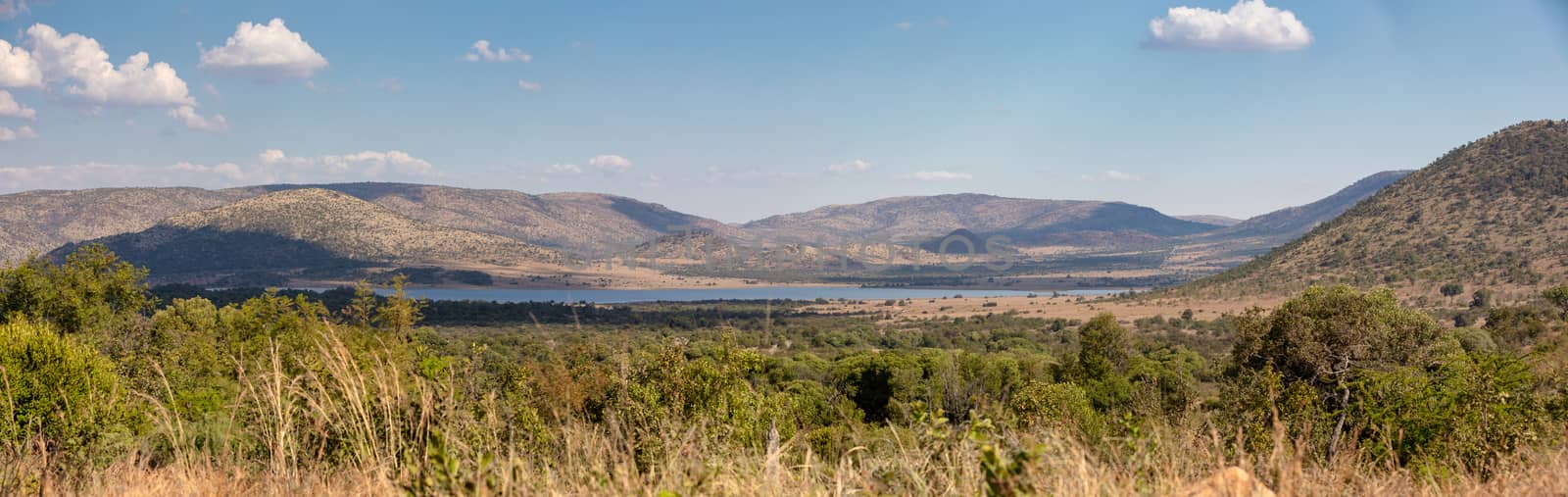 landscape Pilanesberg National Park, South Africa by artush