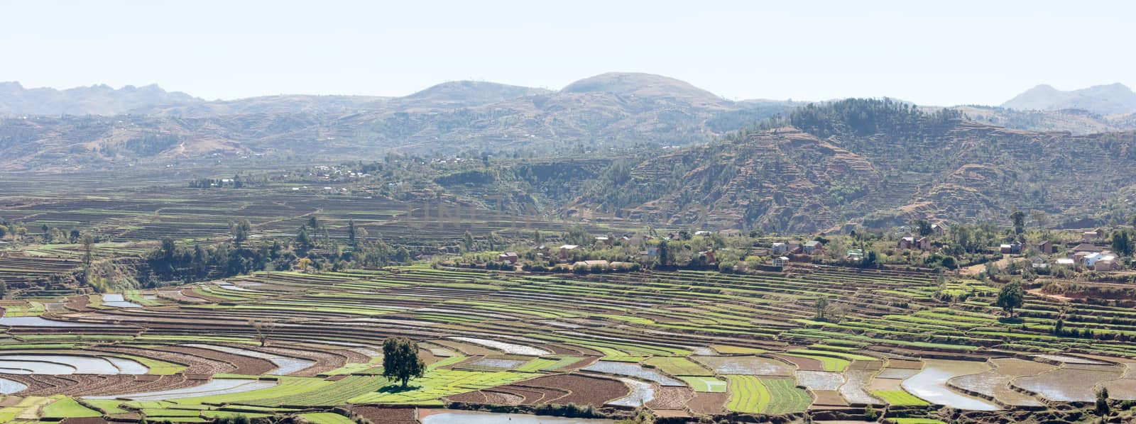 Agricultural fields in Madagascar by michaklootwijk