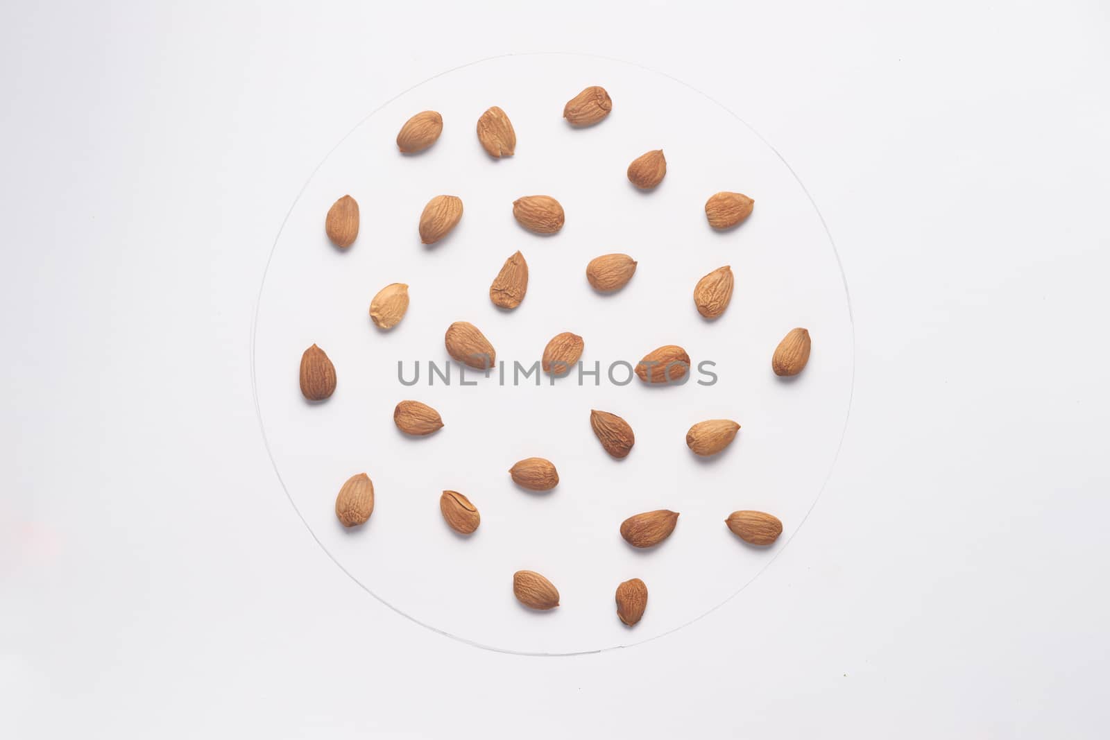 Apricot stones isolated on white backgroud. 