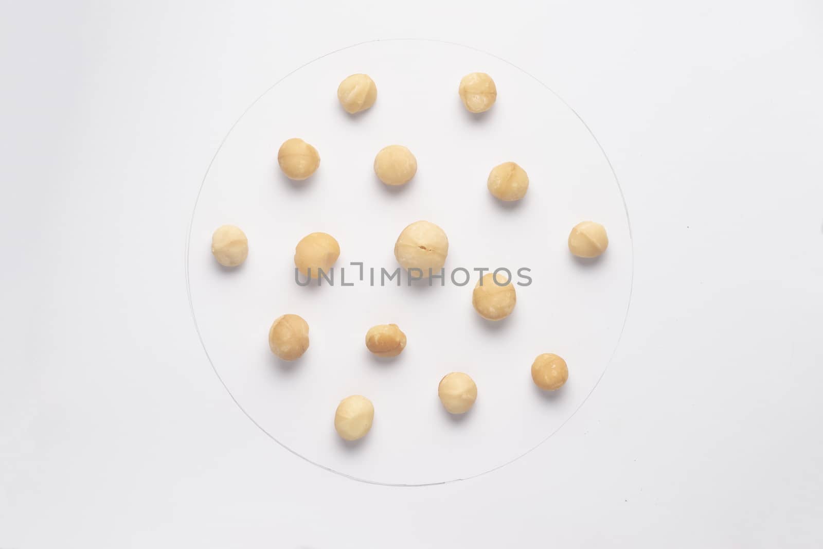Makadam nuts isolated on white backgroud. 
