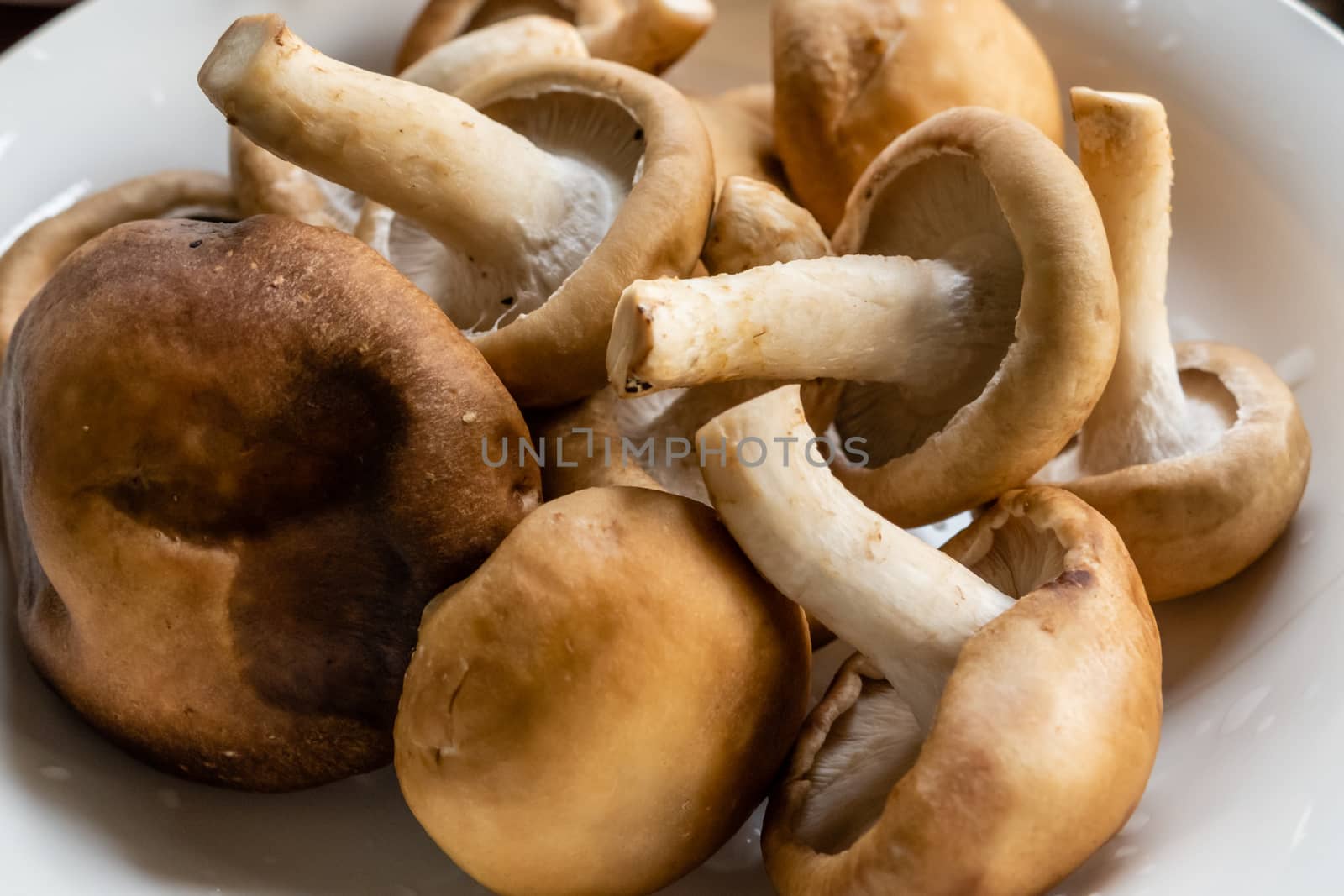 Bunch of mushrooms in a plate