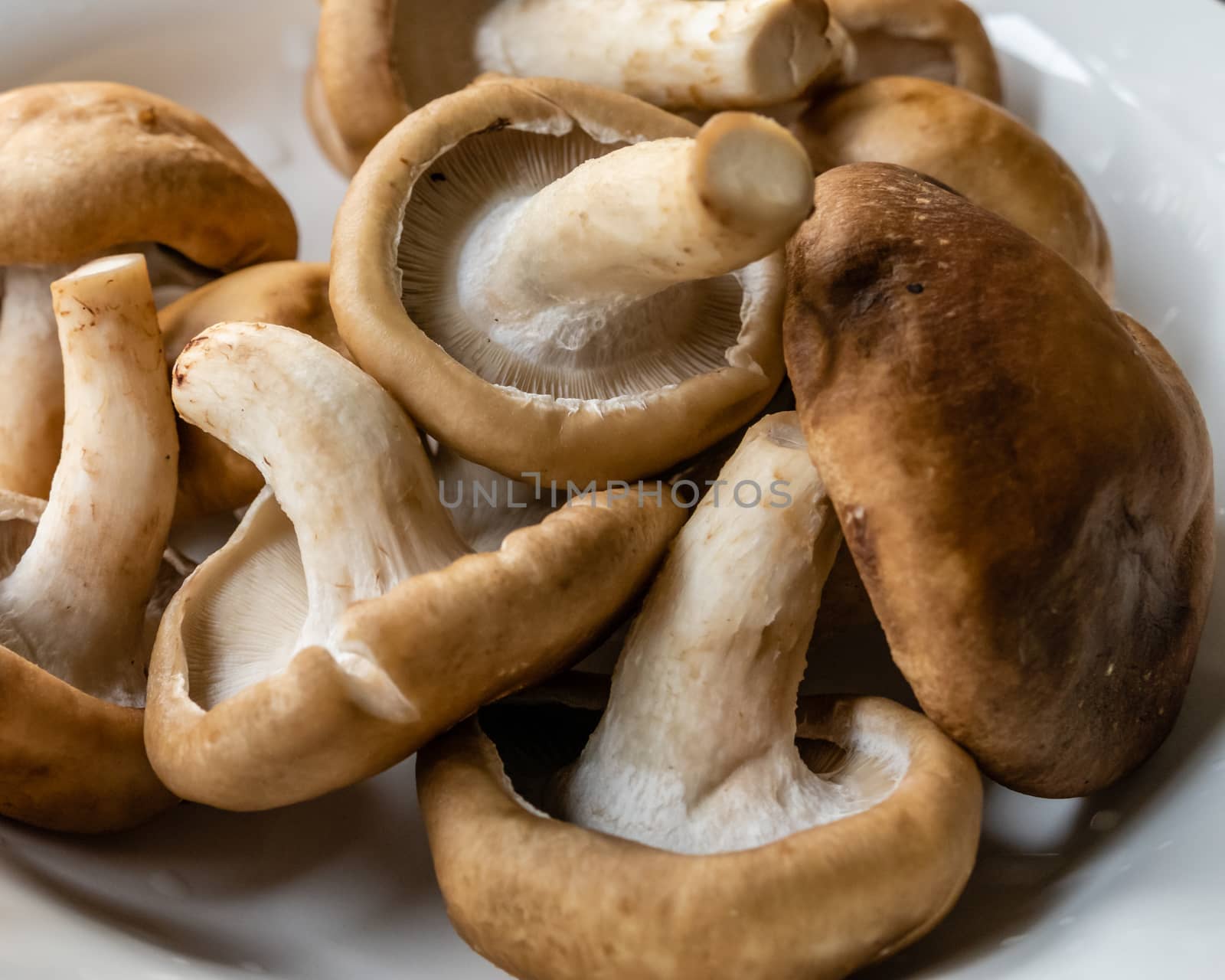 Bunch of mushrooms in a plate