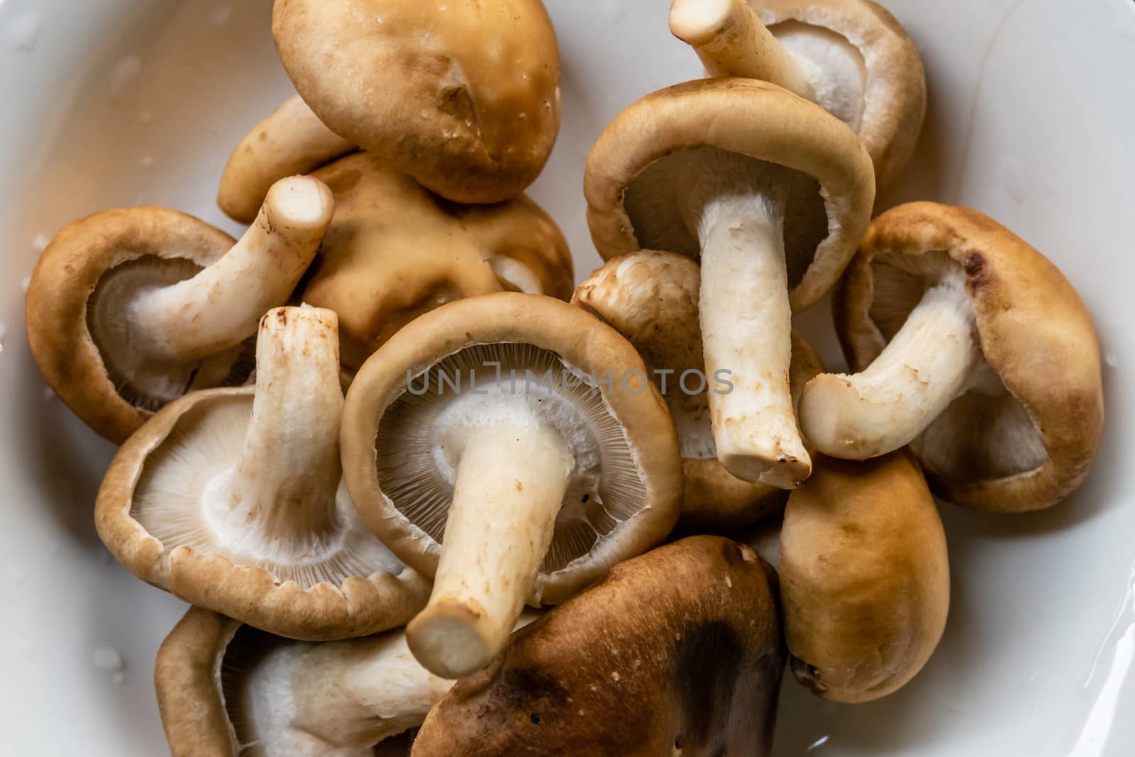 Bunch of mushrooms in a plate