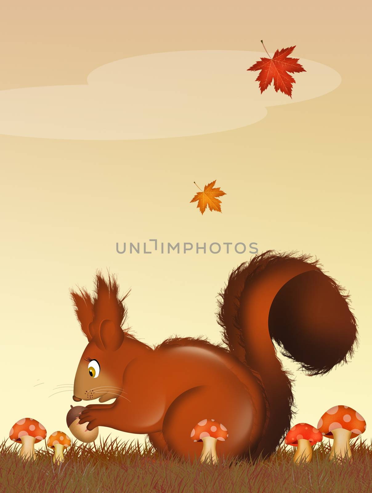 illustration of squirrel in the forest