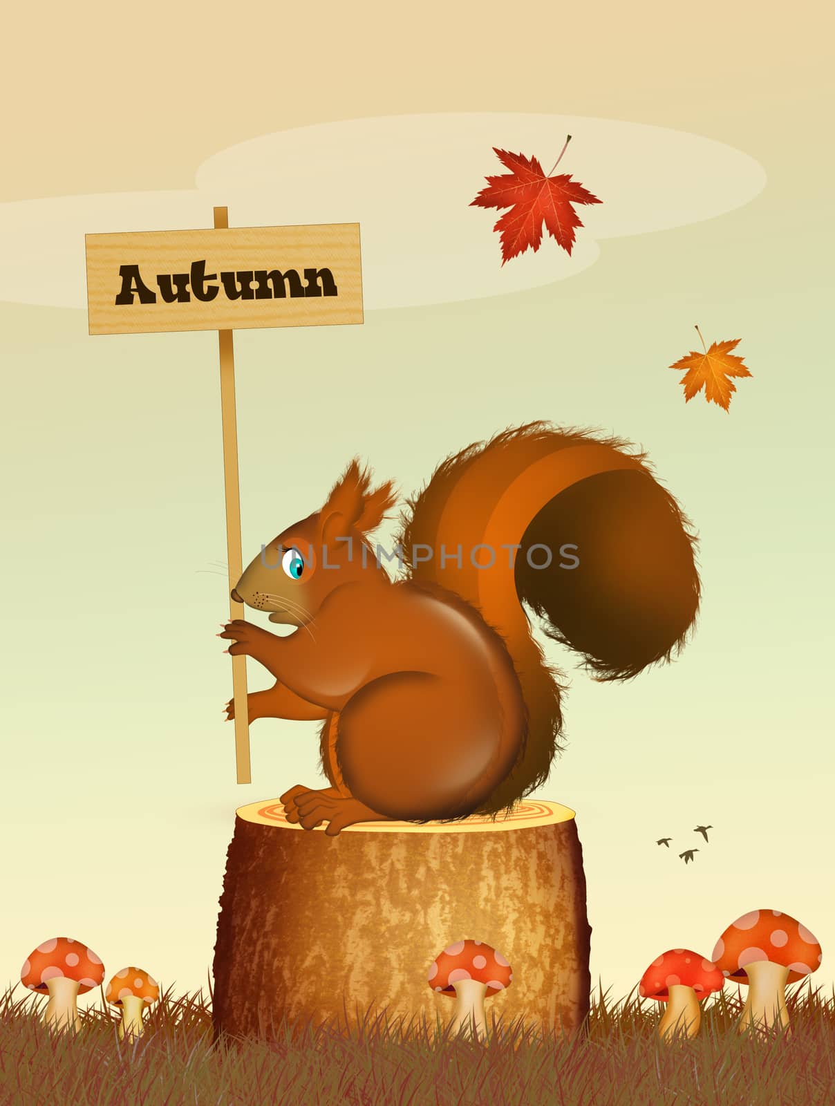 illustration of squirrel in autumn