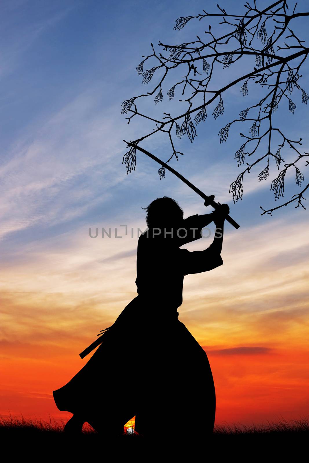 illustration of Samurai with sword at sunset