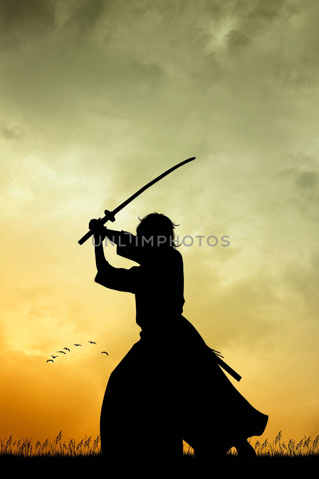 Samurai at sunset by adrenalina