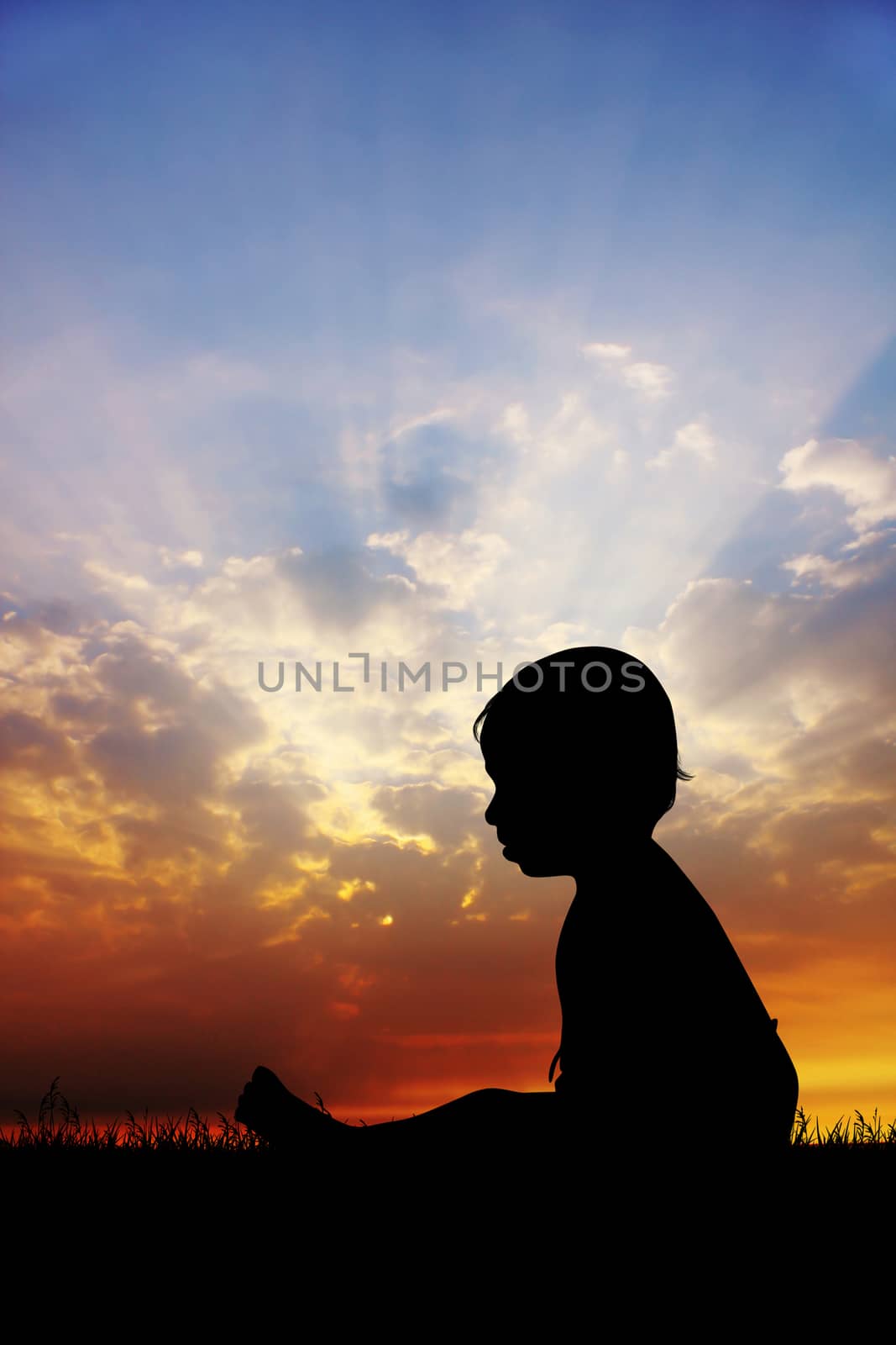 illustration of child in the meadow at sunset