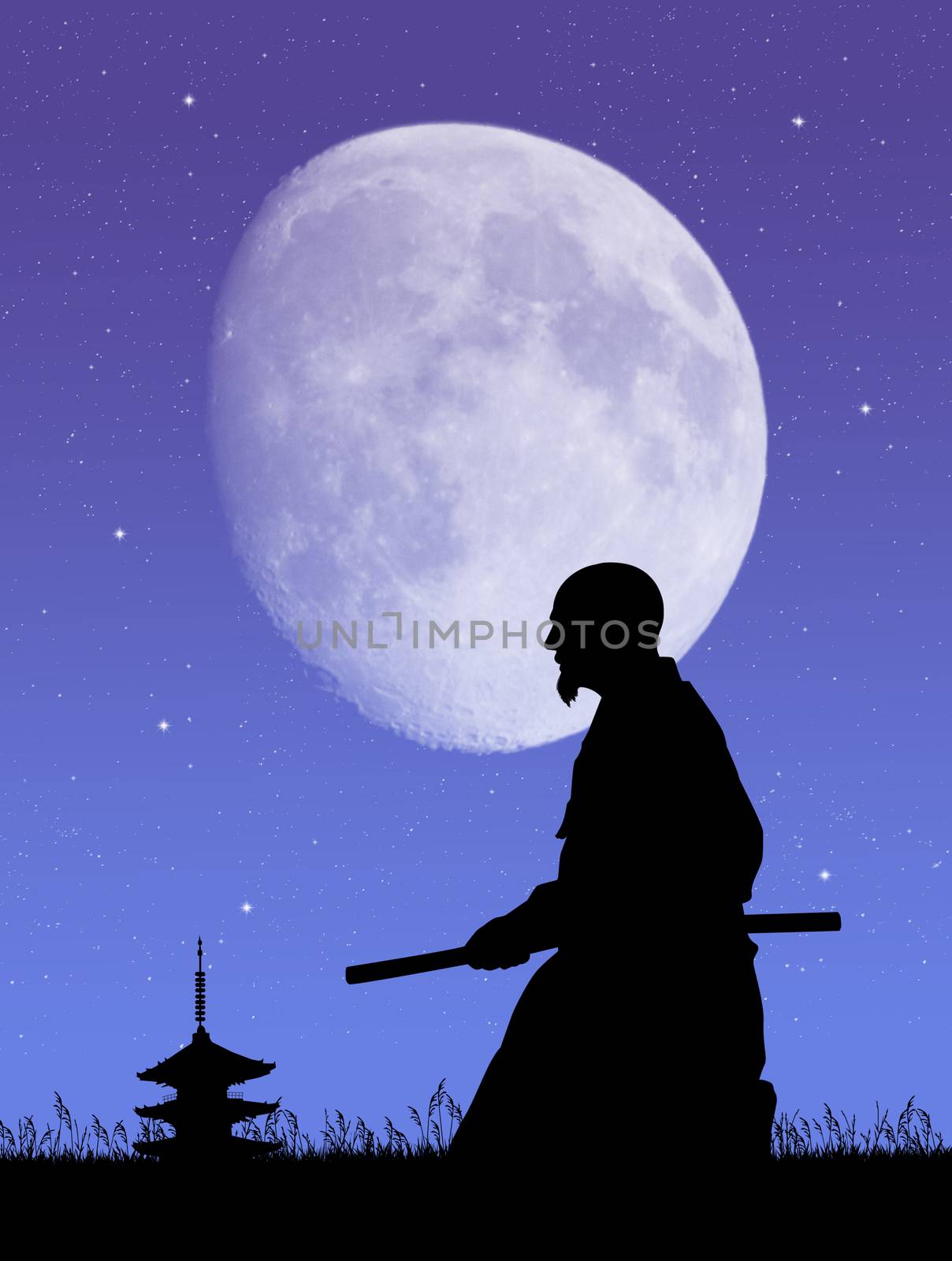 illustration of Aikido in the moonlight