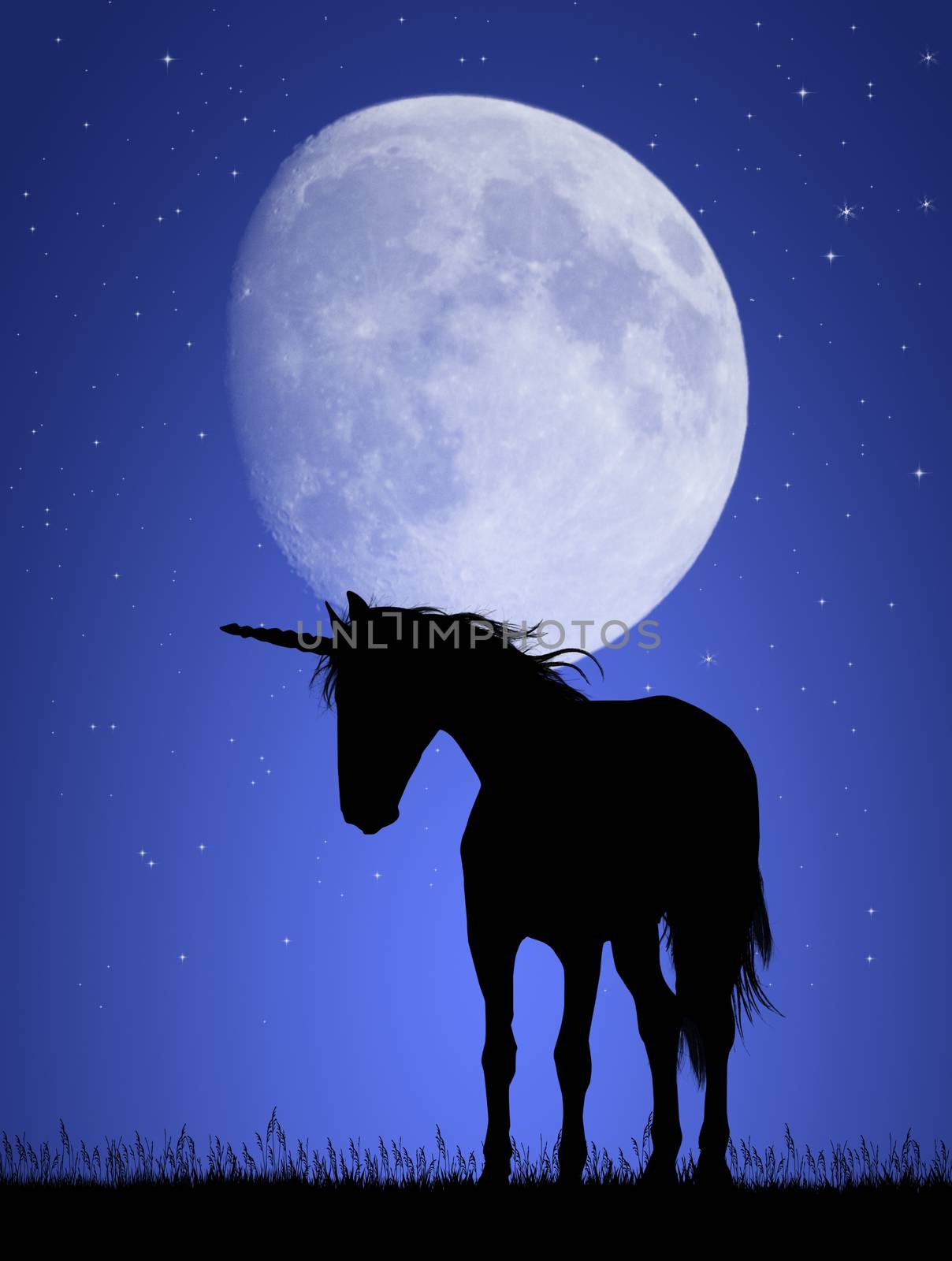 illustration of unicorn in the moonlight