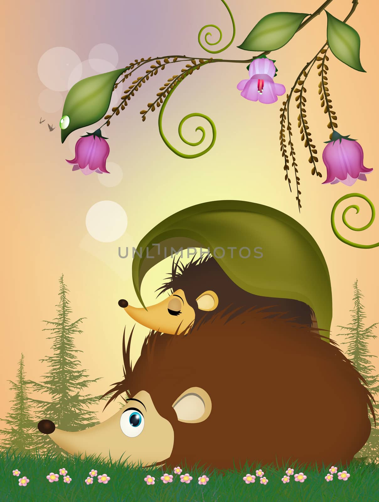 illustration of little hedgehog