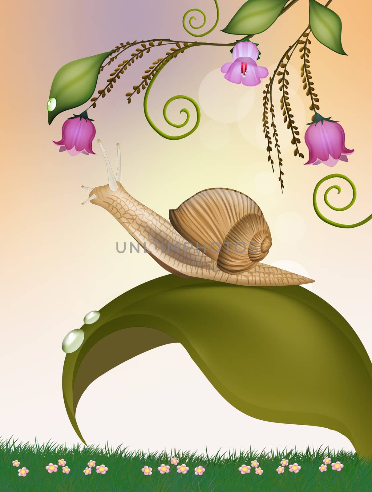 illustration of snail on the leaf