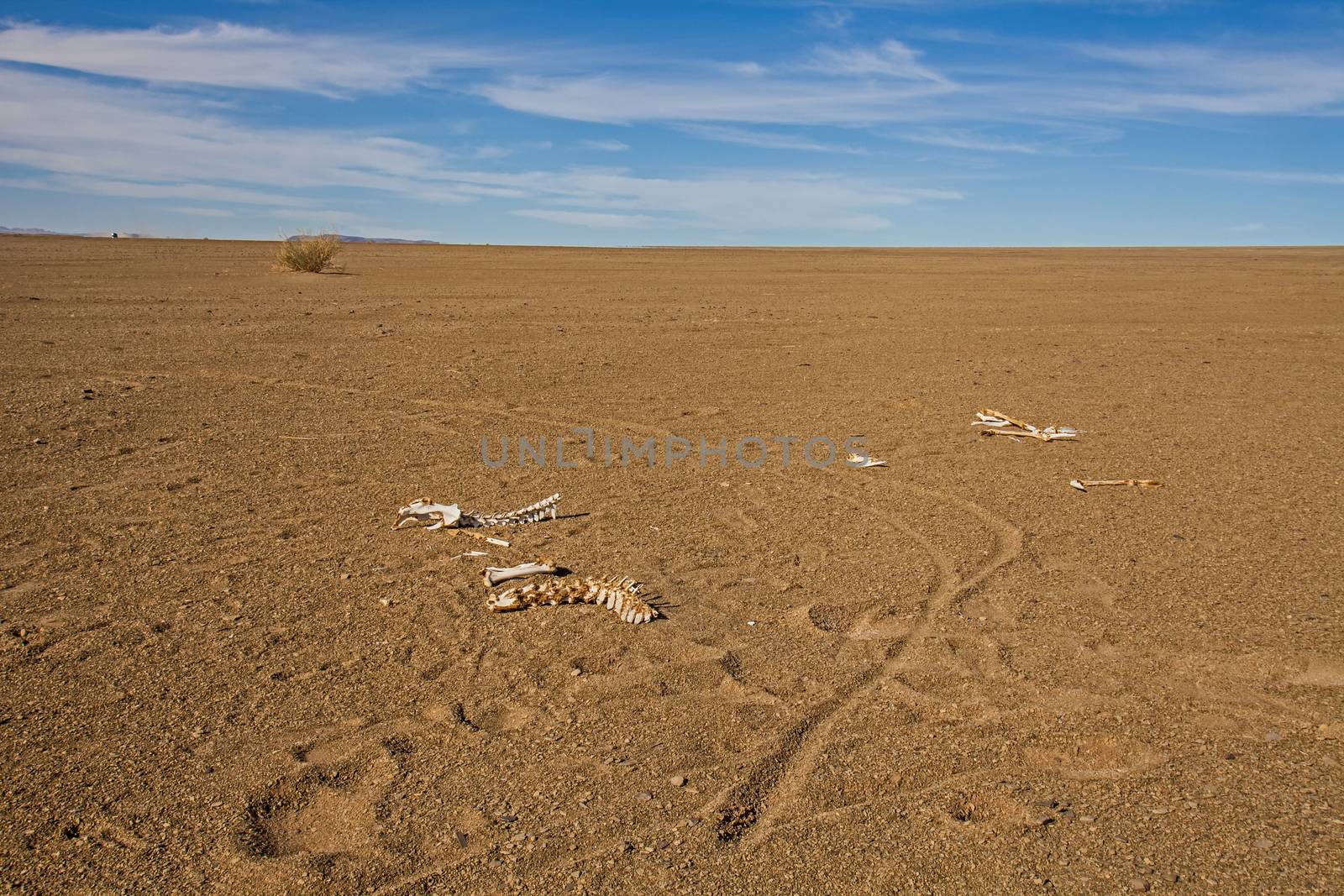 Namibian desert landscape 5 by kobus_peche