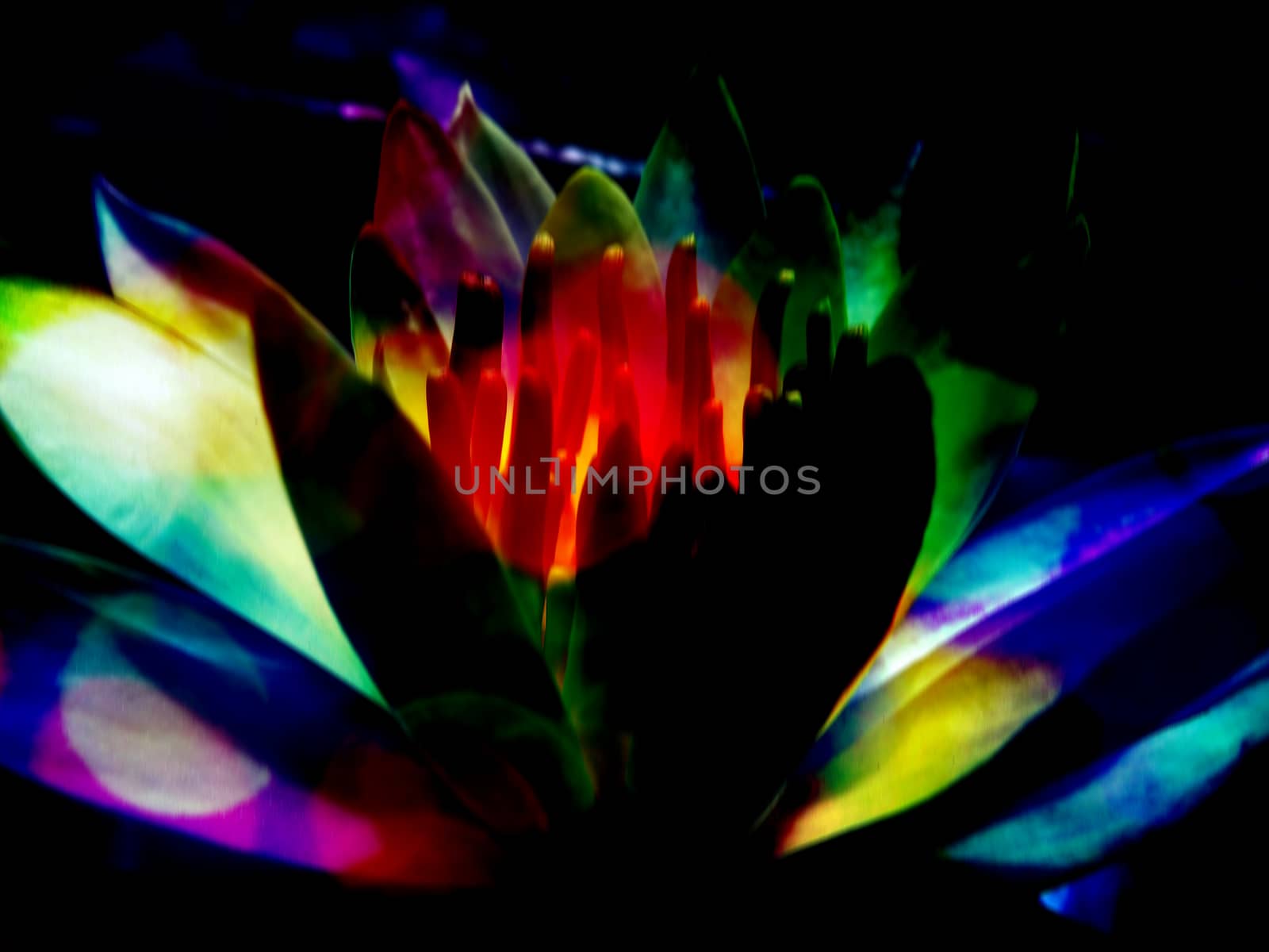 A metaphorical image of a spiritual lotus radiating colorful energies.