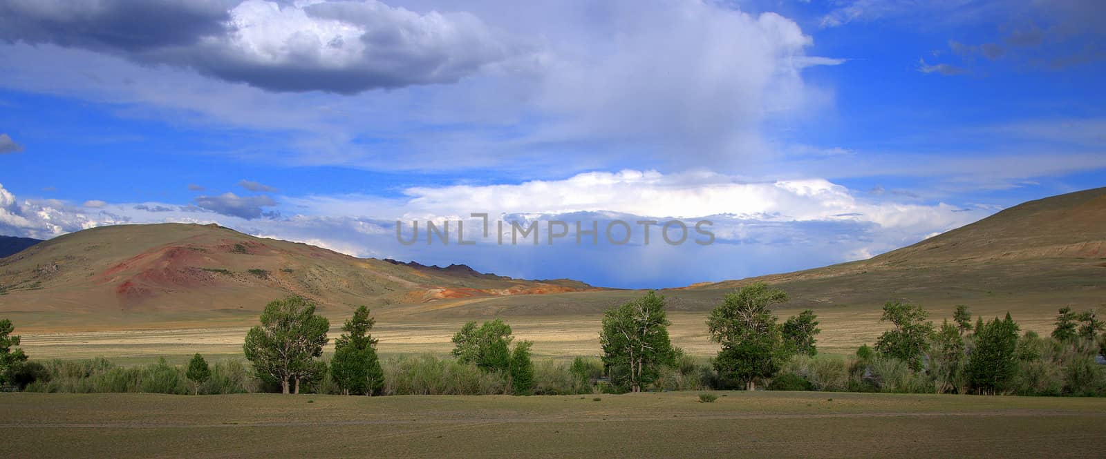 Panoramic shot of red mountains under a blue cloudy sky and sparse bushes at the foot. by alexey_zheltukhin