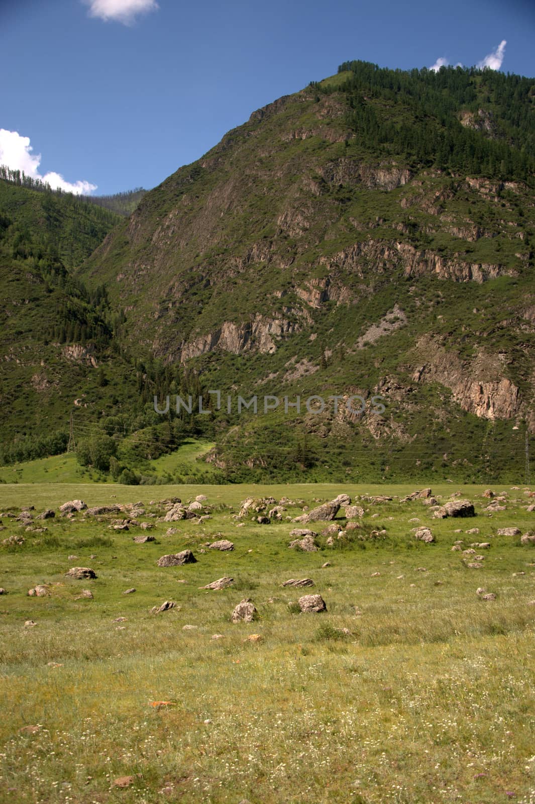 A small clearing littered with stones and the foot of the mountain. Altai, Siberia, Russia.