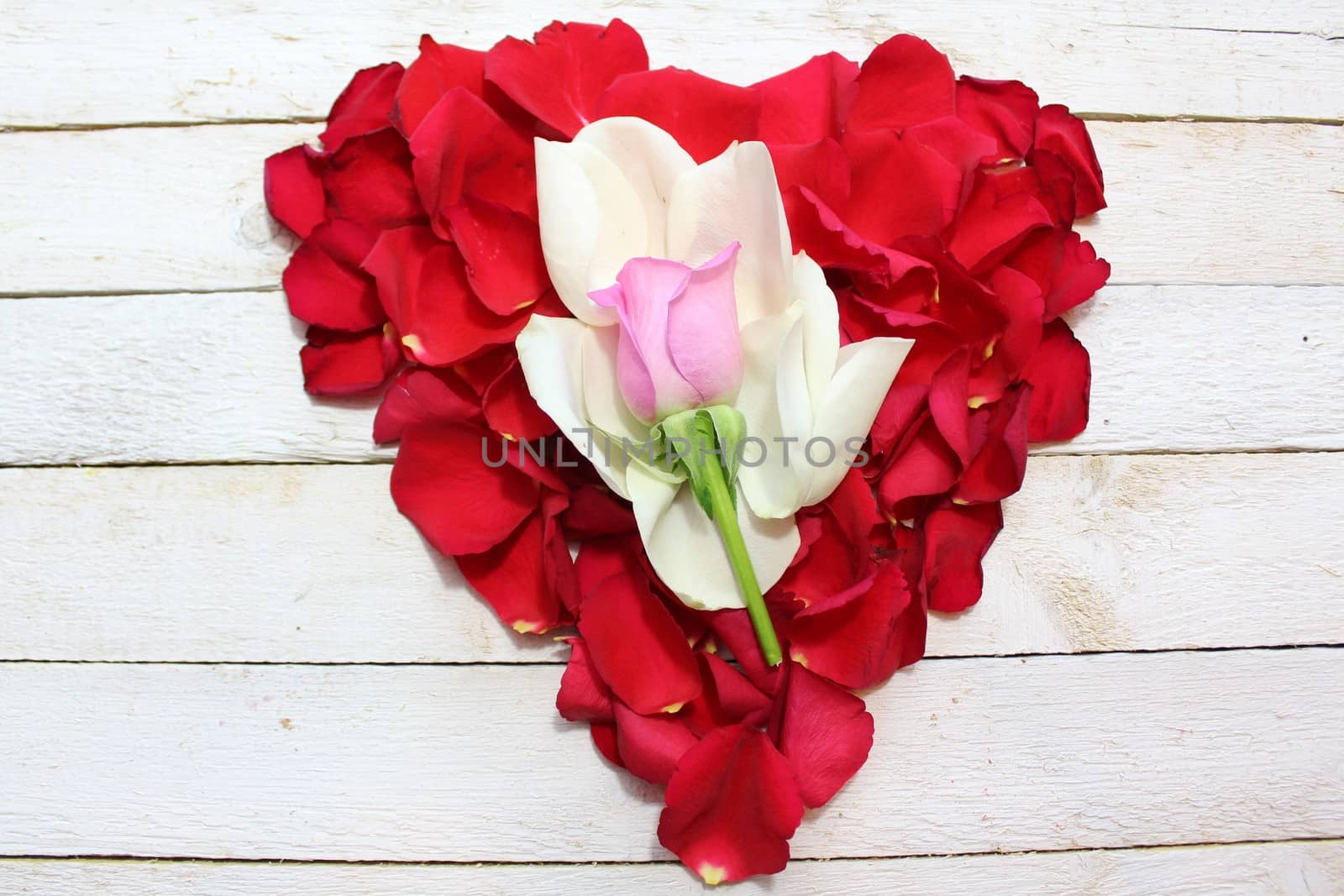 The picture shows a heart of rose petals.