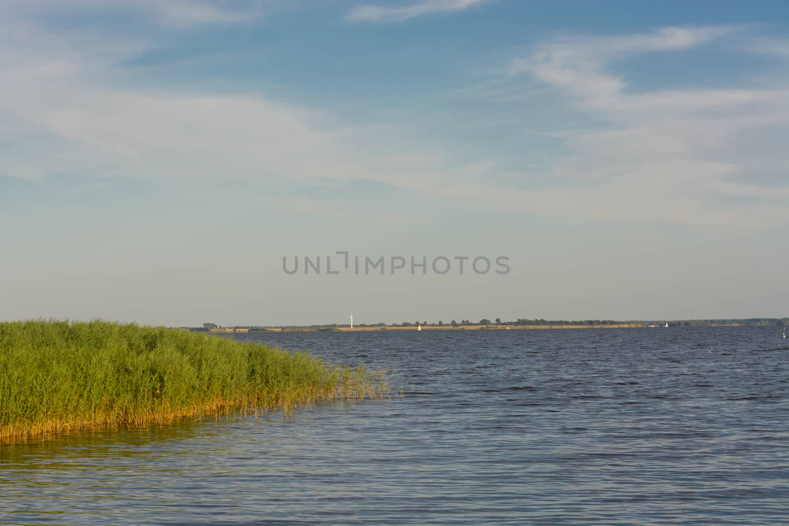 National Park Vorpommersche Boddenlandschaft on Fischland at the Baltic resort Ahrenshoop in Germany