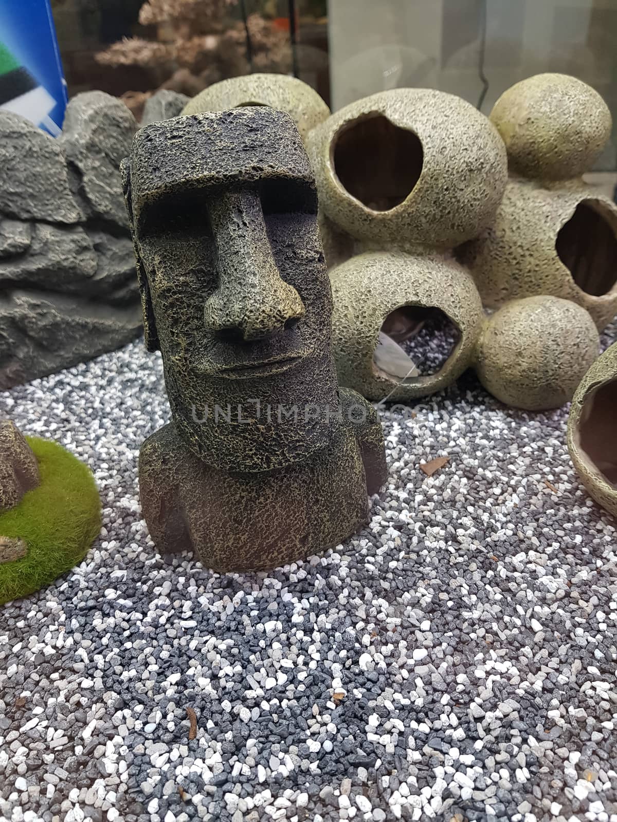  Ancient ruins Mayan head on the beach        