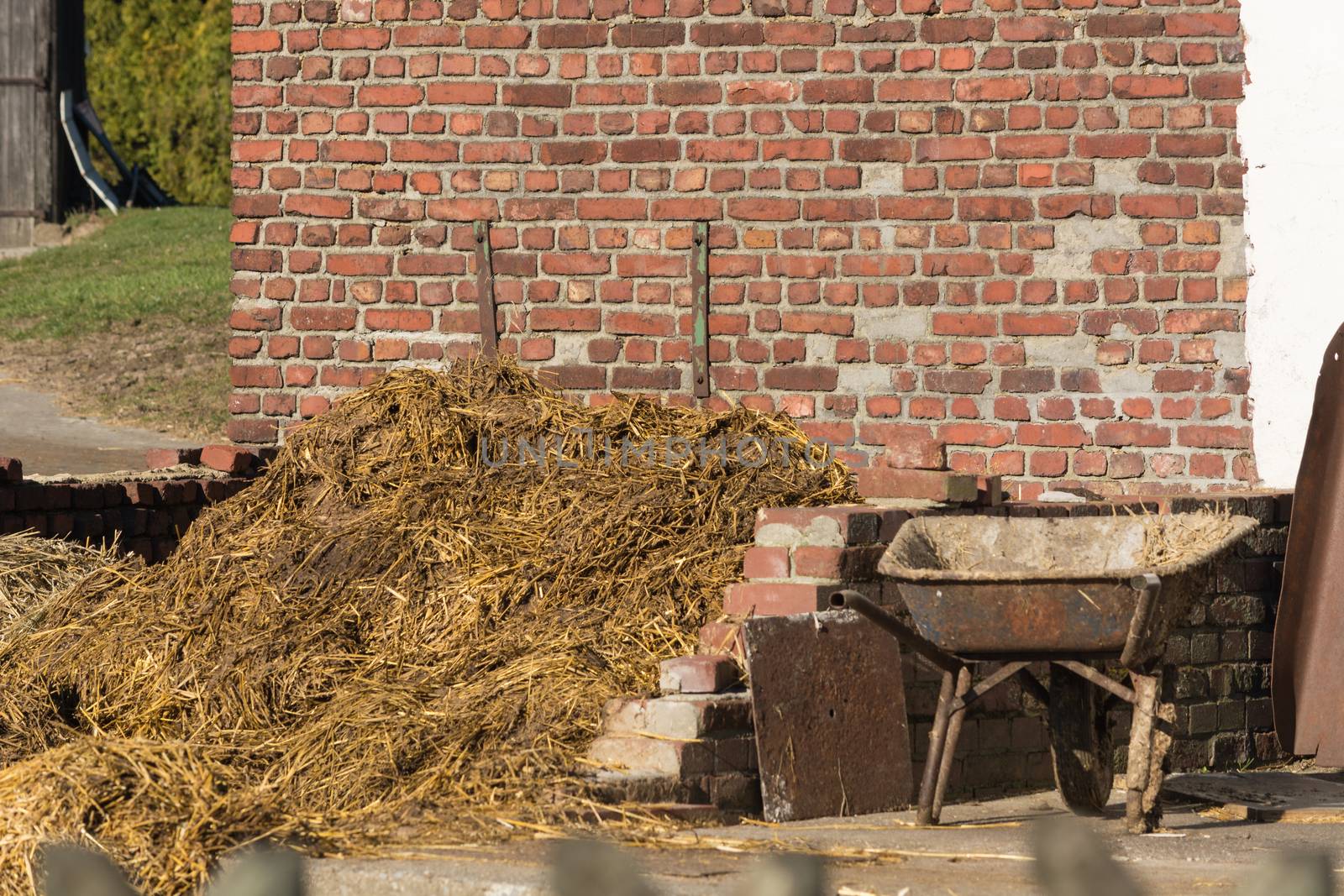 Pile of stinking dung. Manure heap on a farmhouse in Germany
