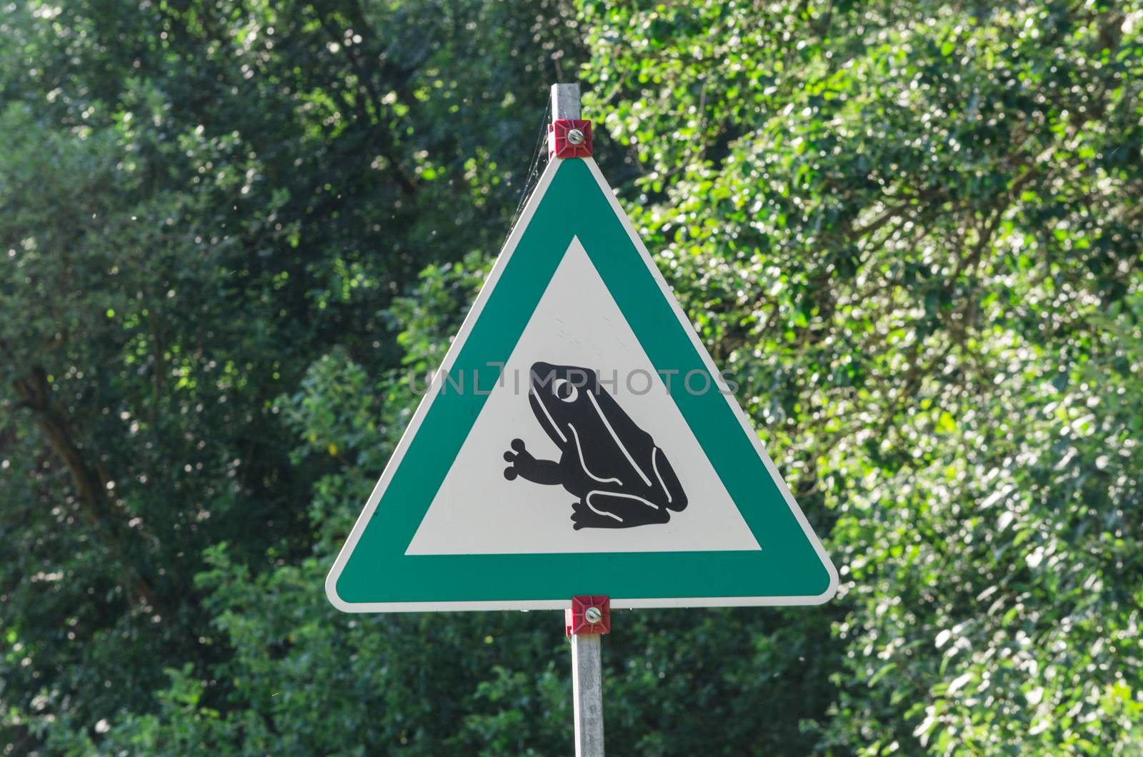 Warning sign on the road Attention Toads and frogs migrate 