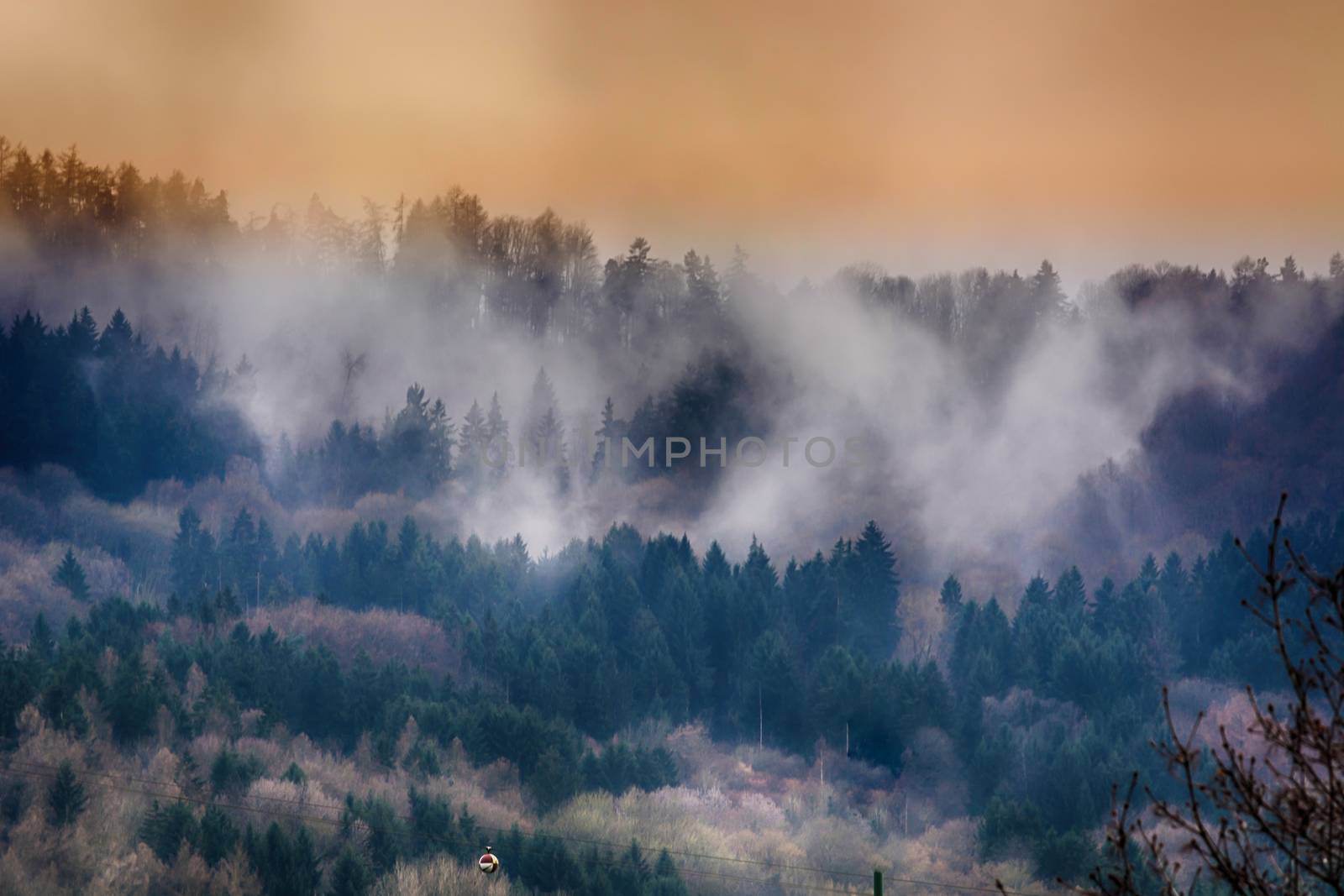 Autumn forest in the fog, panoramic view. Misty forest, far horizon. Scenic dawn and fog in the woodland valley, panorama landscape