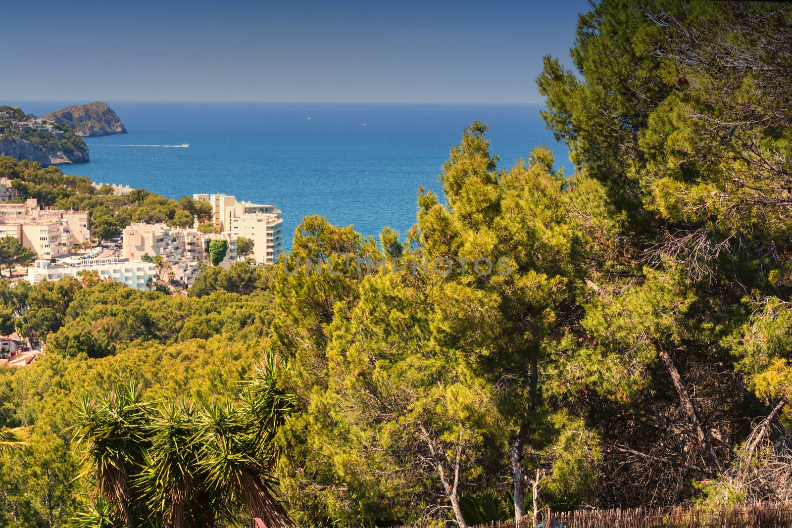 Panorama of the bay Paguera photographed from the mountain in Costa de la Calma.