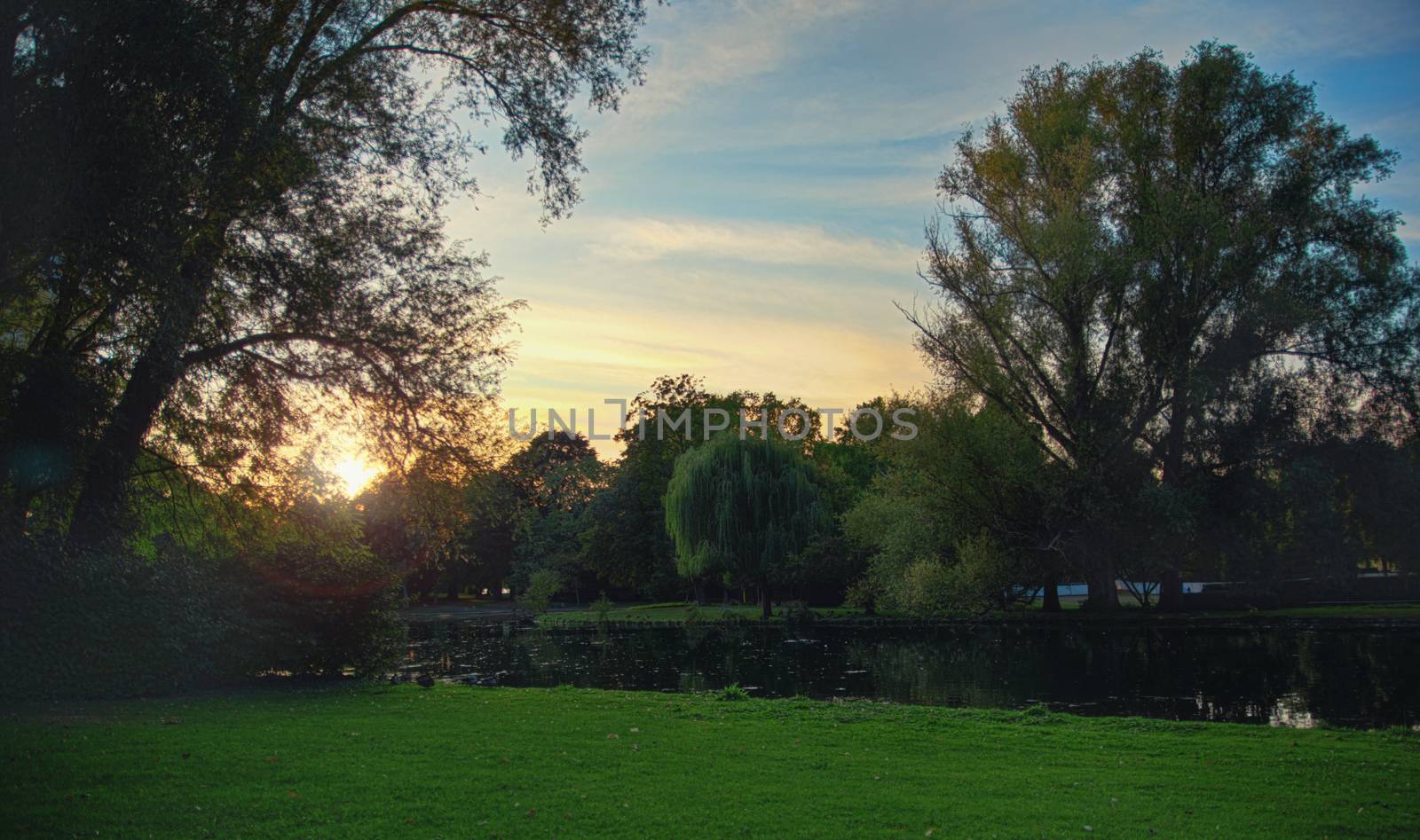 Beautiful sunset in the Rheinaue park next to a pond by Mendelex