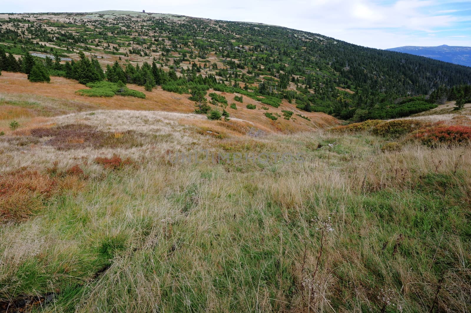 View of the rocky landscape of the Krkonose