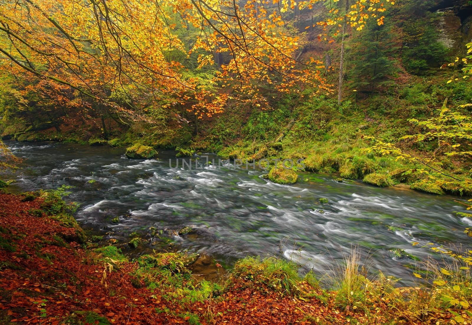 A beautifully clean river flowing through a colorful autumn forest