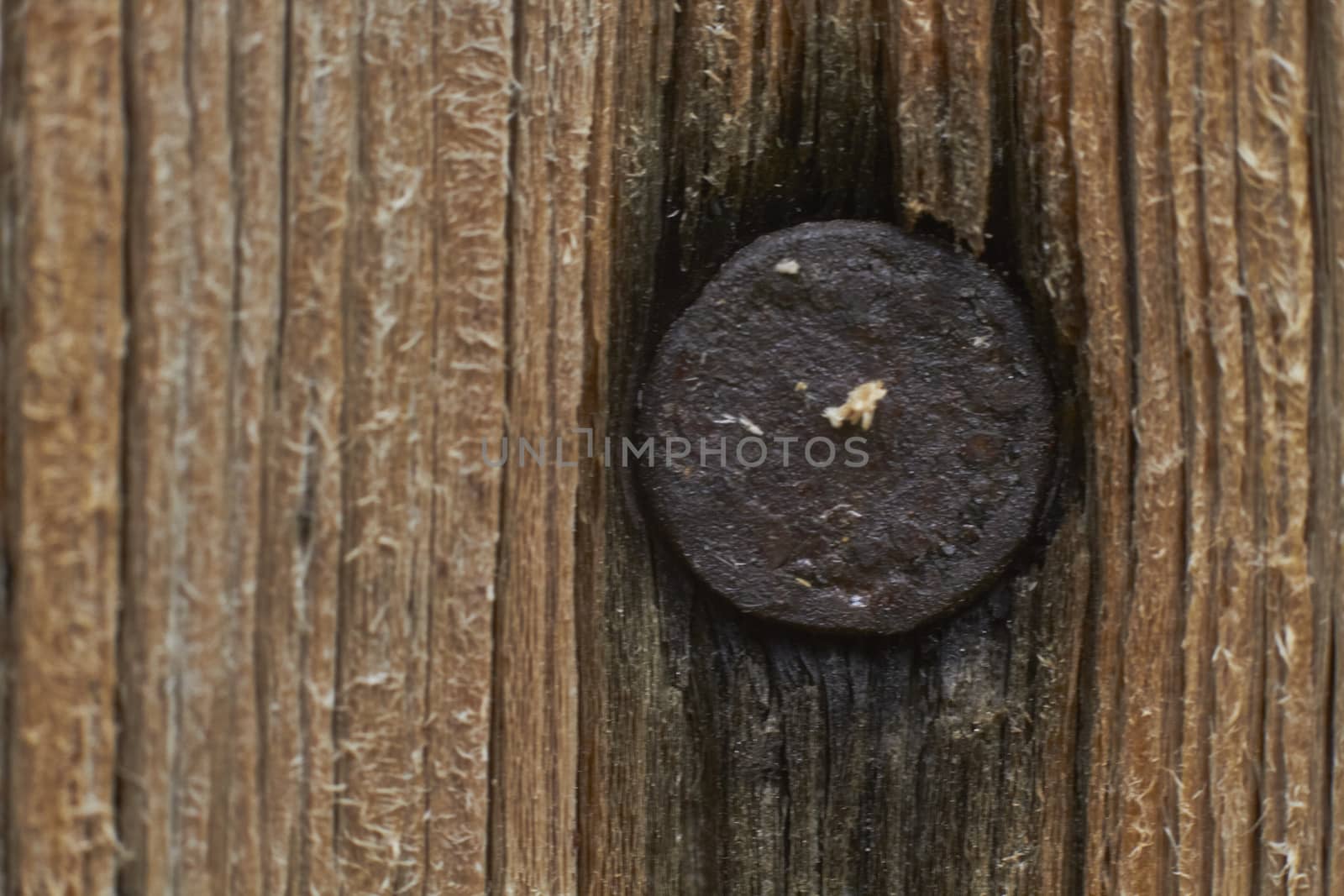 background wood closeup