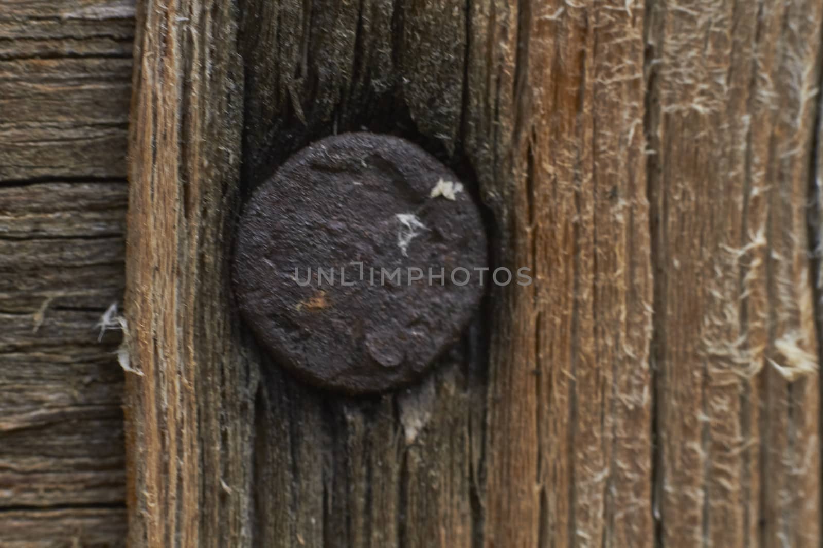 background wood closeup