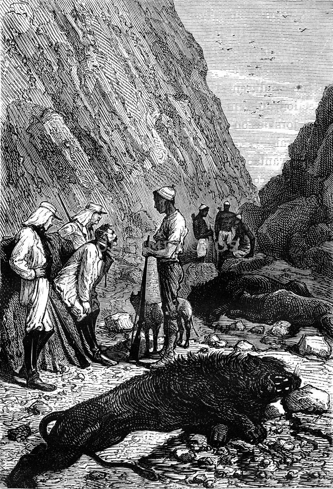 Soldier explorers and Makololo tribe native hunters with a dead lion in South Africa. From Jules Verne 3 Russians and 3 English Book, vintage engraving, 1871.
