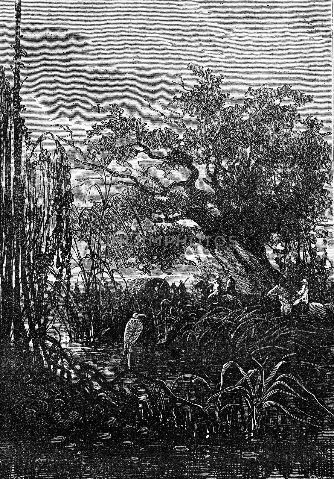 The caravan walked, vintage engraved illustration. Jules Verne 3 Russian and 3 English, 1872.
