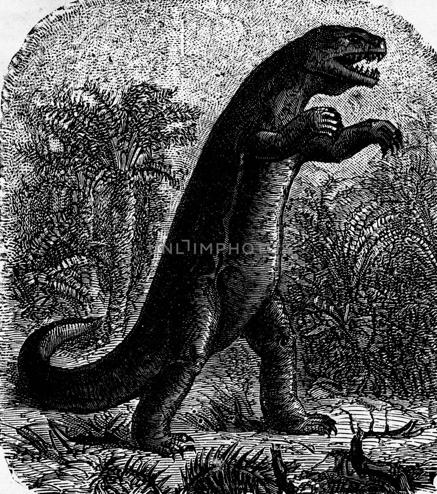 Dinosaur, vintage engraved illustration. Earth before man – 1886.
