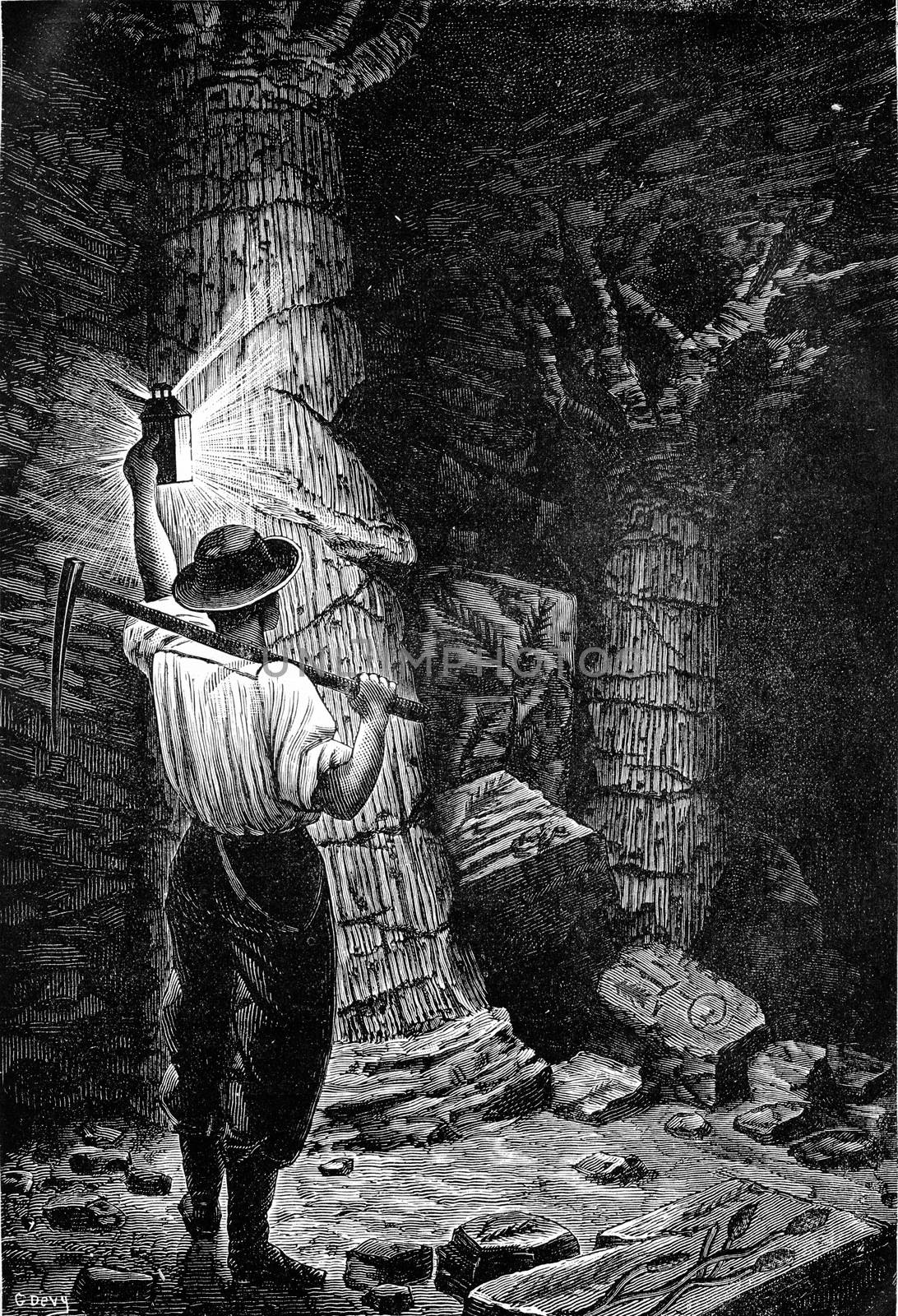 To his deep mines, the coal miner meeting with astonishment vicilles buried forest, vintage engraved illustration. Earth before man – 1886.
