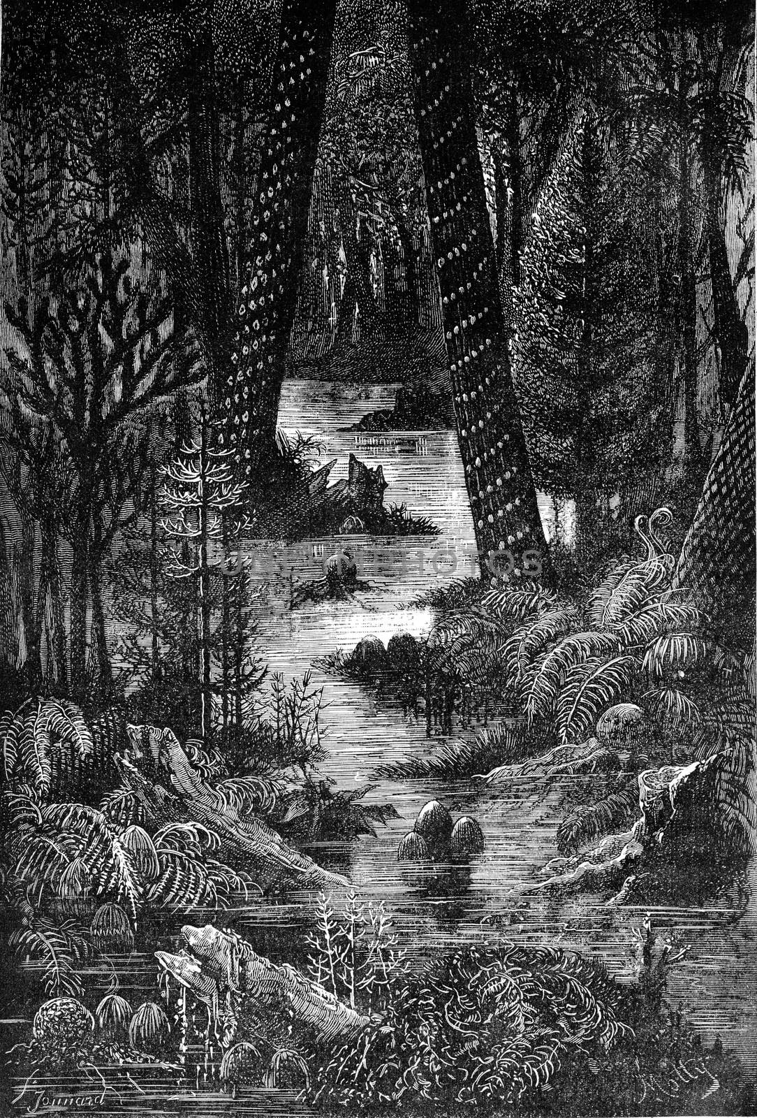 Landscapes missing ages! no human eyes do you contemplated, no orcille not understood your harmonies, vintage engraved illustration. Earth before man – 1886.
