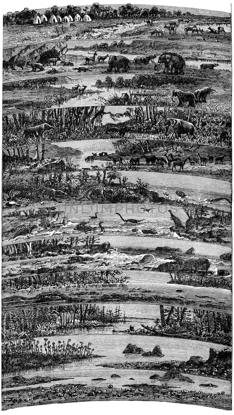 Progressive developments flora and fauna successive ages of the earth, vintage engraved illustration. Earth before man – 1886.