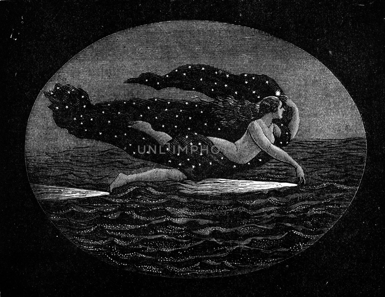 It is believed see a Naiad drag on the airwaves and bring forth the phosphorescence, vintage engraved illustration. Earth before man – 1886.

