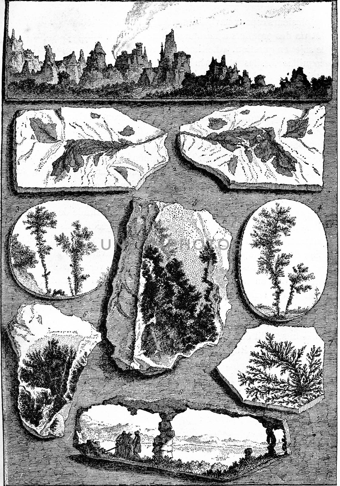 Arborise curious stones, vintage engraved illustration. Earth before man – 1886.
