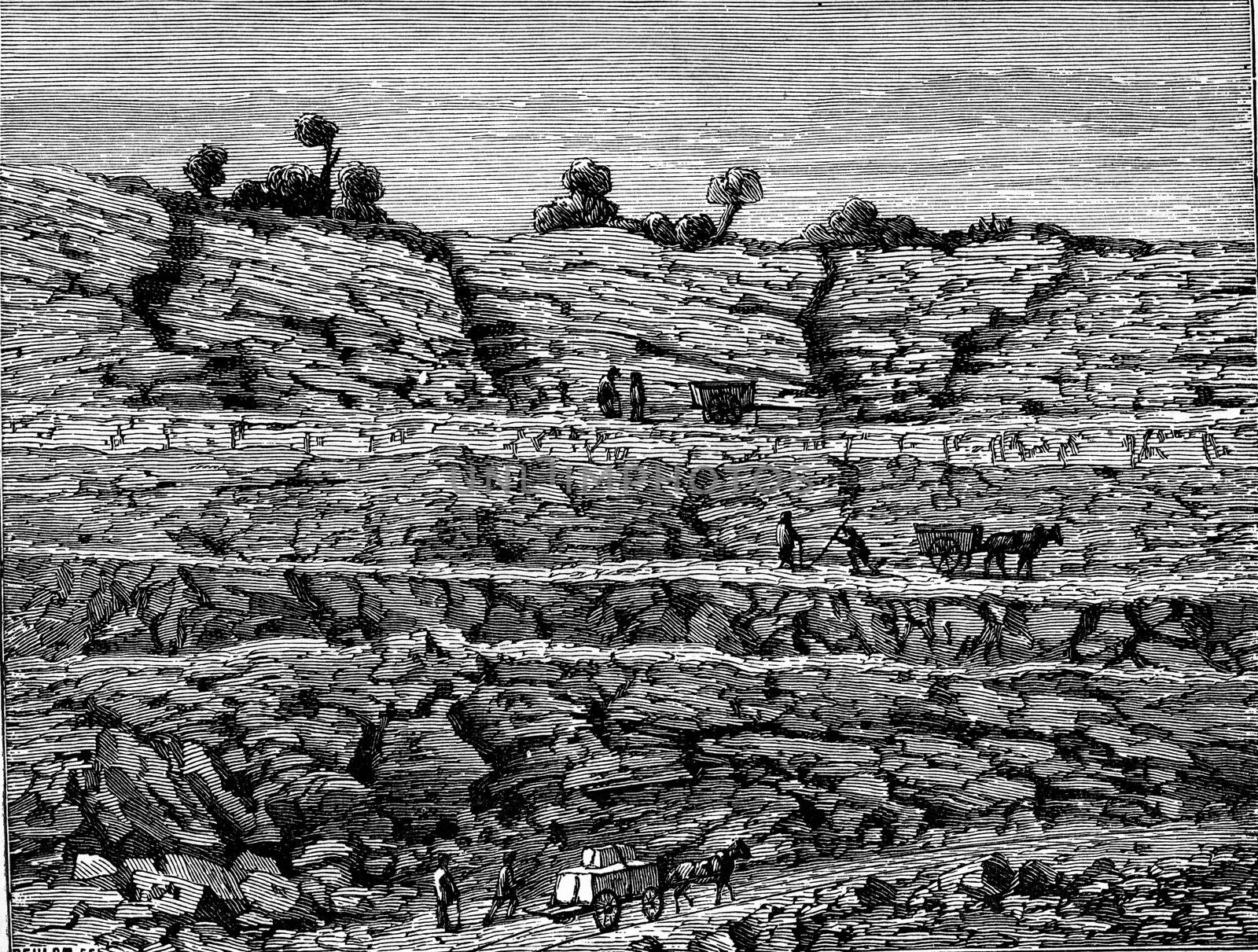 Superimposed layers of rocks, vintage engraving. by Morphart