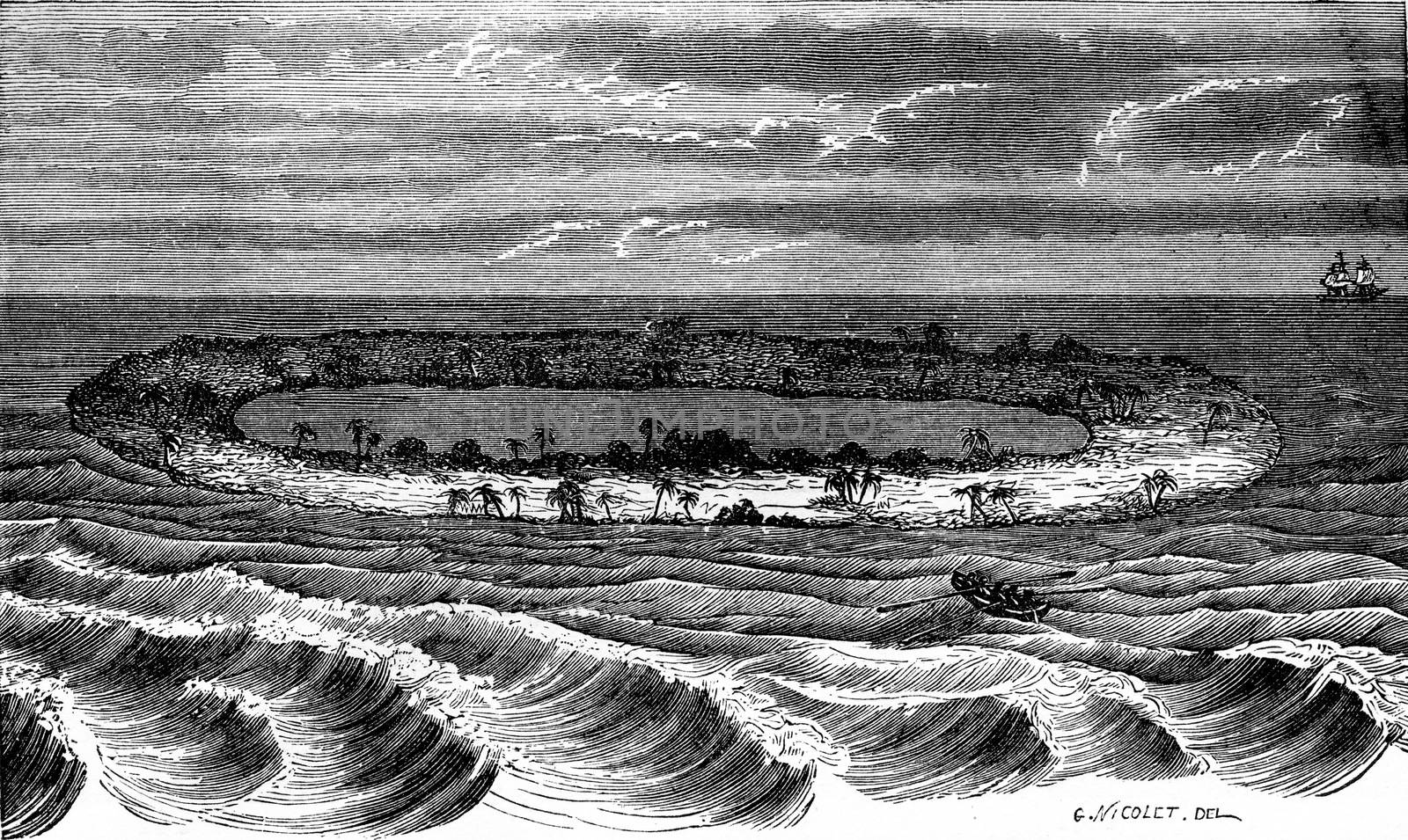 An island of corals, vintage engraved illustration. Earth before man – 1886.
