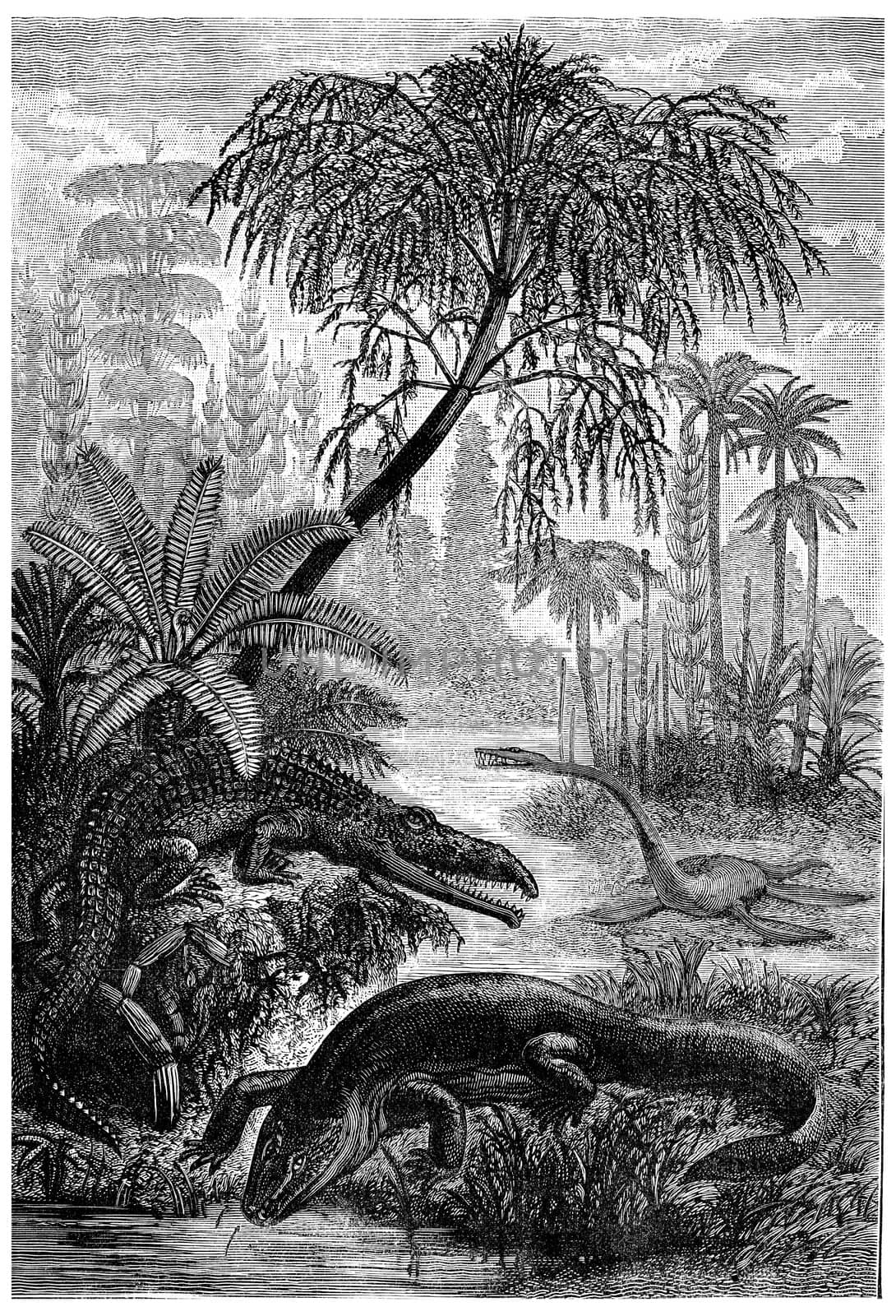 The inhabitants of the Triassic period, capitosaure, beldoux nothosaure, vintage engraved illustration. Earth before man – 1886.