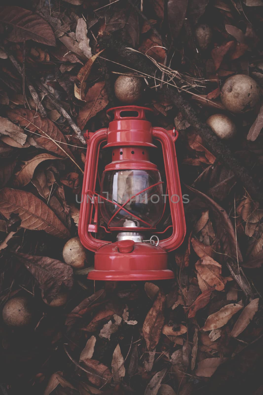 red lamp in brown autumn leaves, with textures