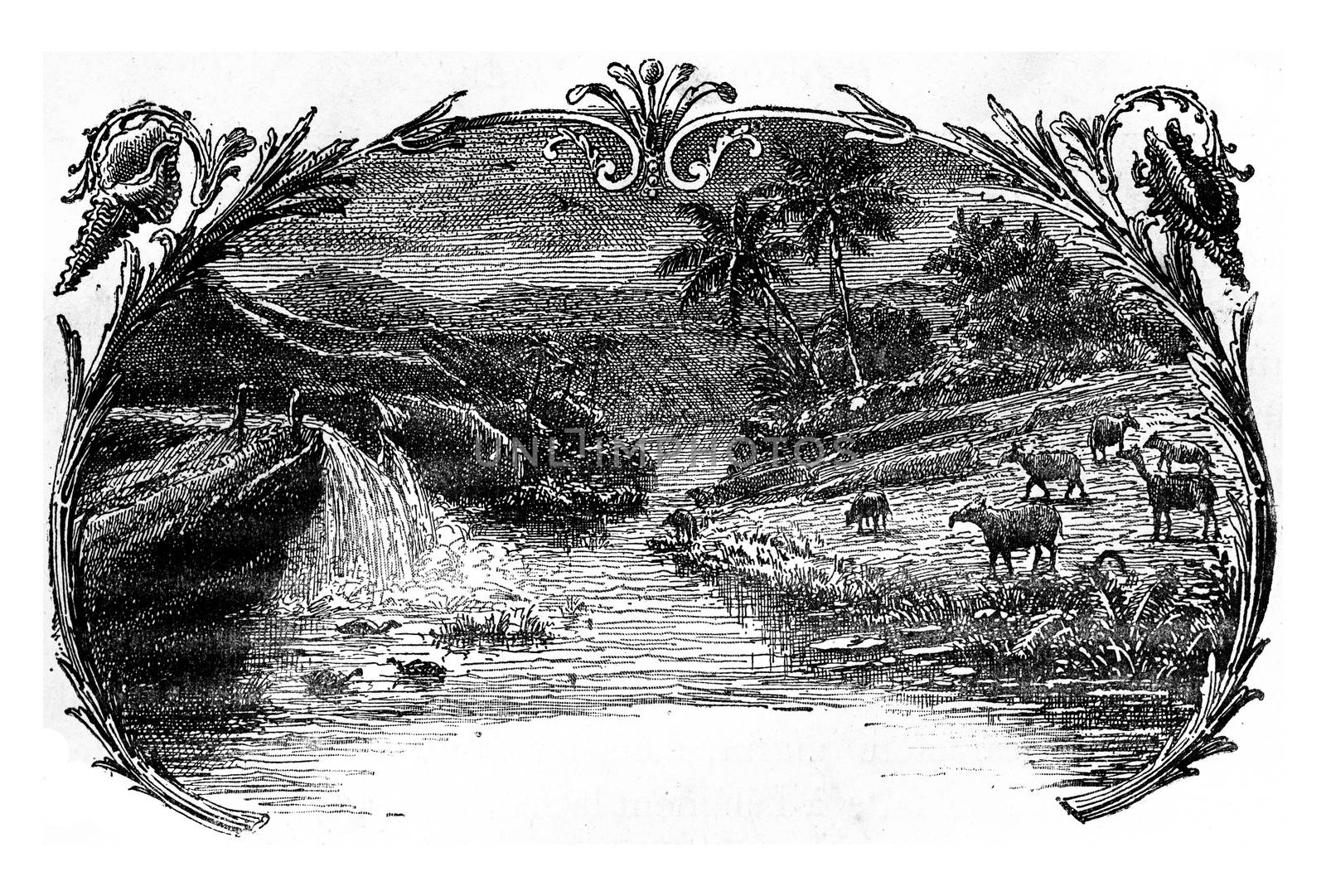 The Eocene period, vintage engraving. by Morphart