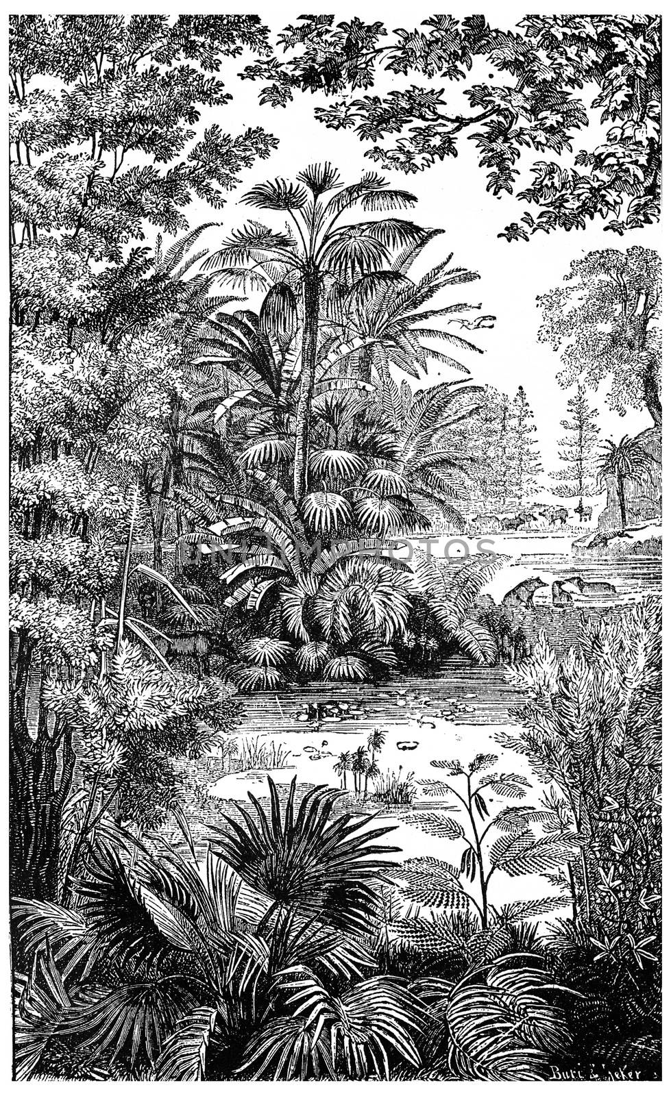 Landscape of the Miocene period in Lausanne, vintage engraved illustration. Earth before man – 1886.