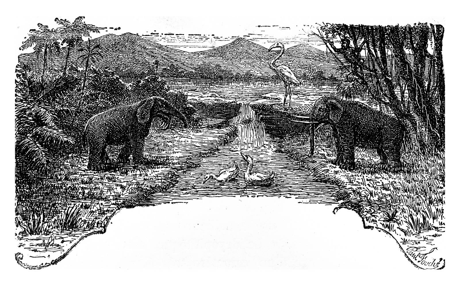 The Pliocene period, vintage engraving. by Morphart