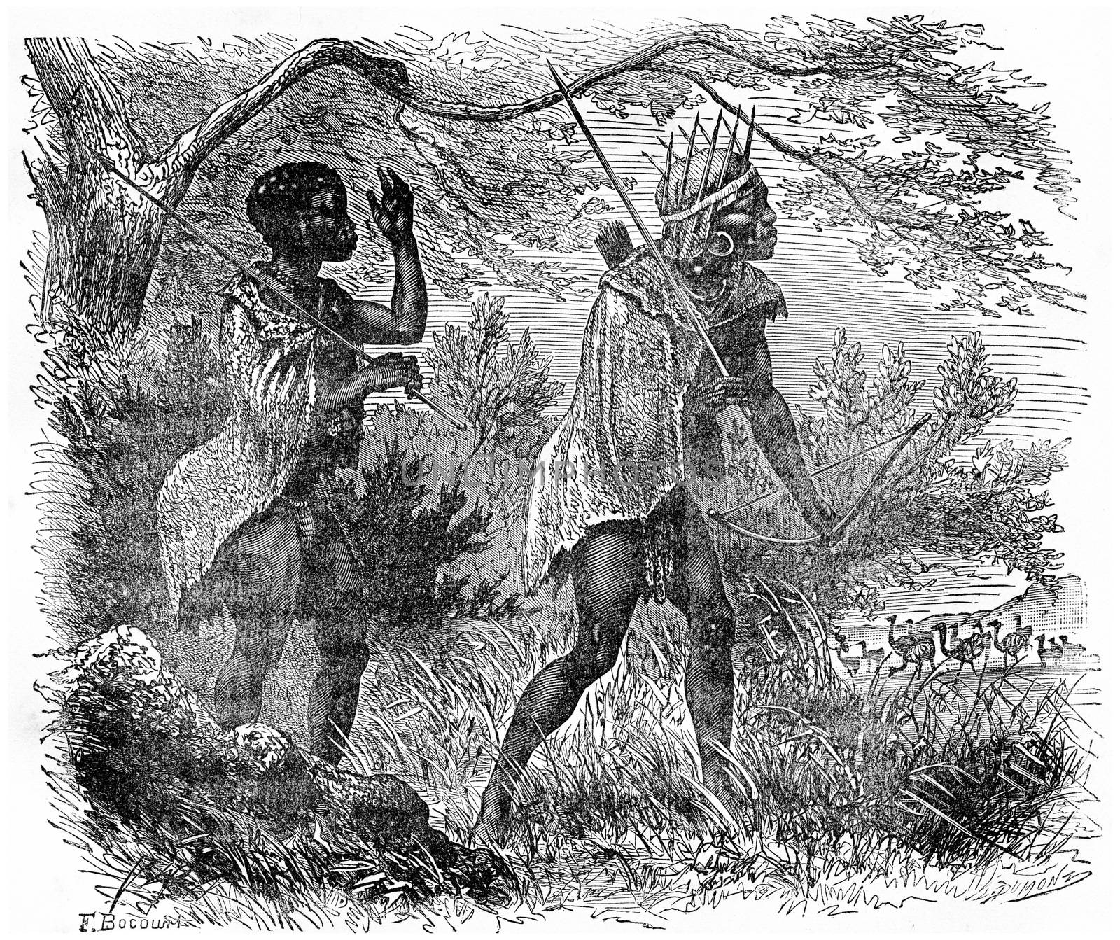 Bushmen hunting, vintage engraving. by Morphart