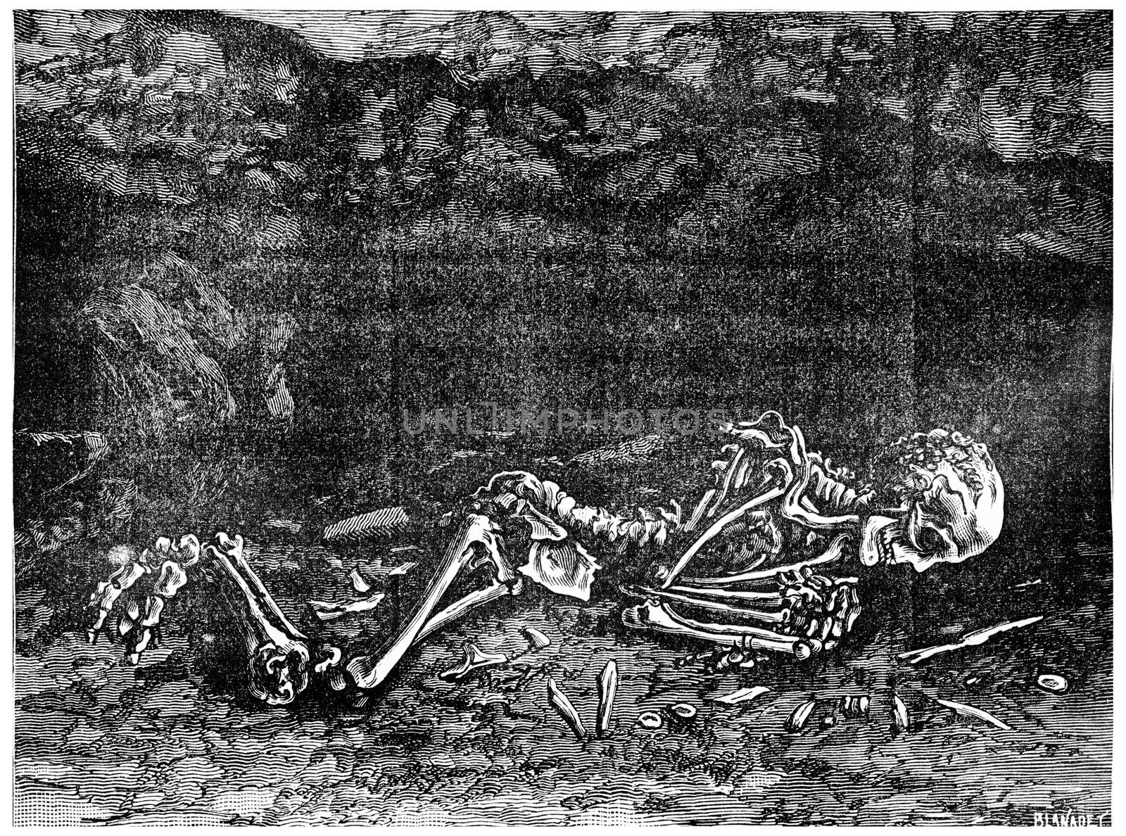 The fossil man found in 1872 in a cave in Menton, now in the Museum of Paris, vintage engraved illustration. Earth before man – 1886.