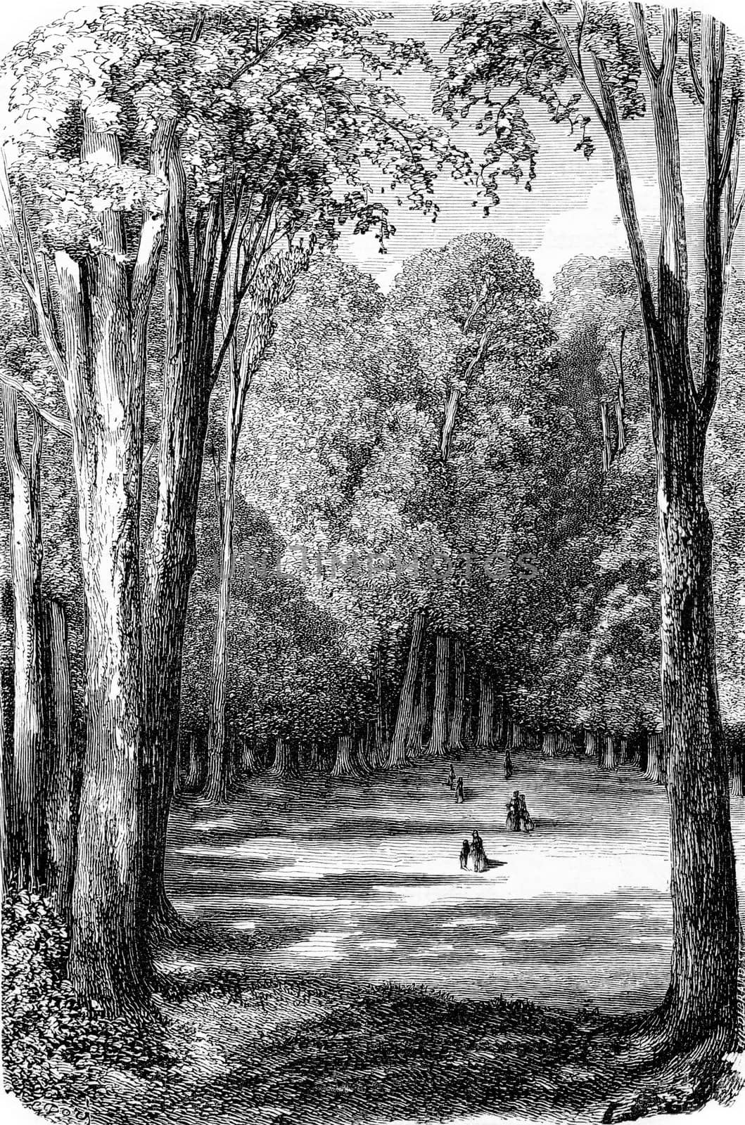 Karlsruhe Park in Karlsruhe, Baden-Württemberg, Germany. From Chemin des Ecoliers, vintage engraving, 1876.
